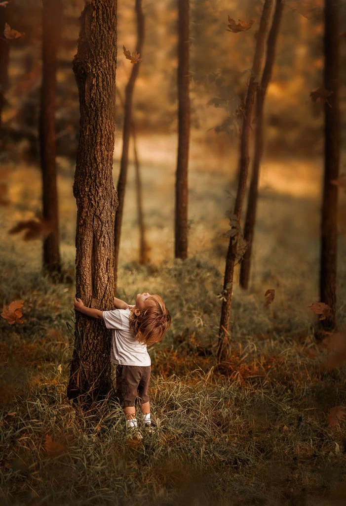 A young child with brown hair wearing a white T-shirt, dark shorts, and white sneakers with black stripes, hugging a tree in a forest with tall, straight trees and fallen leaves.