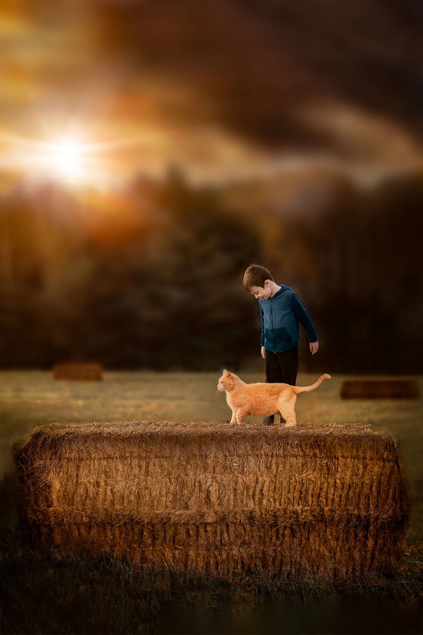 A boy standing on a hay bale and looking down at a ginger cat in a field during sunset.