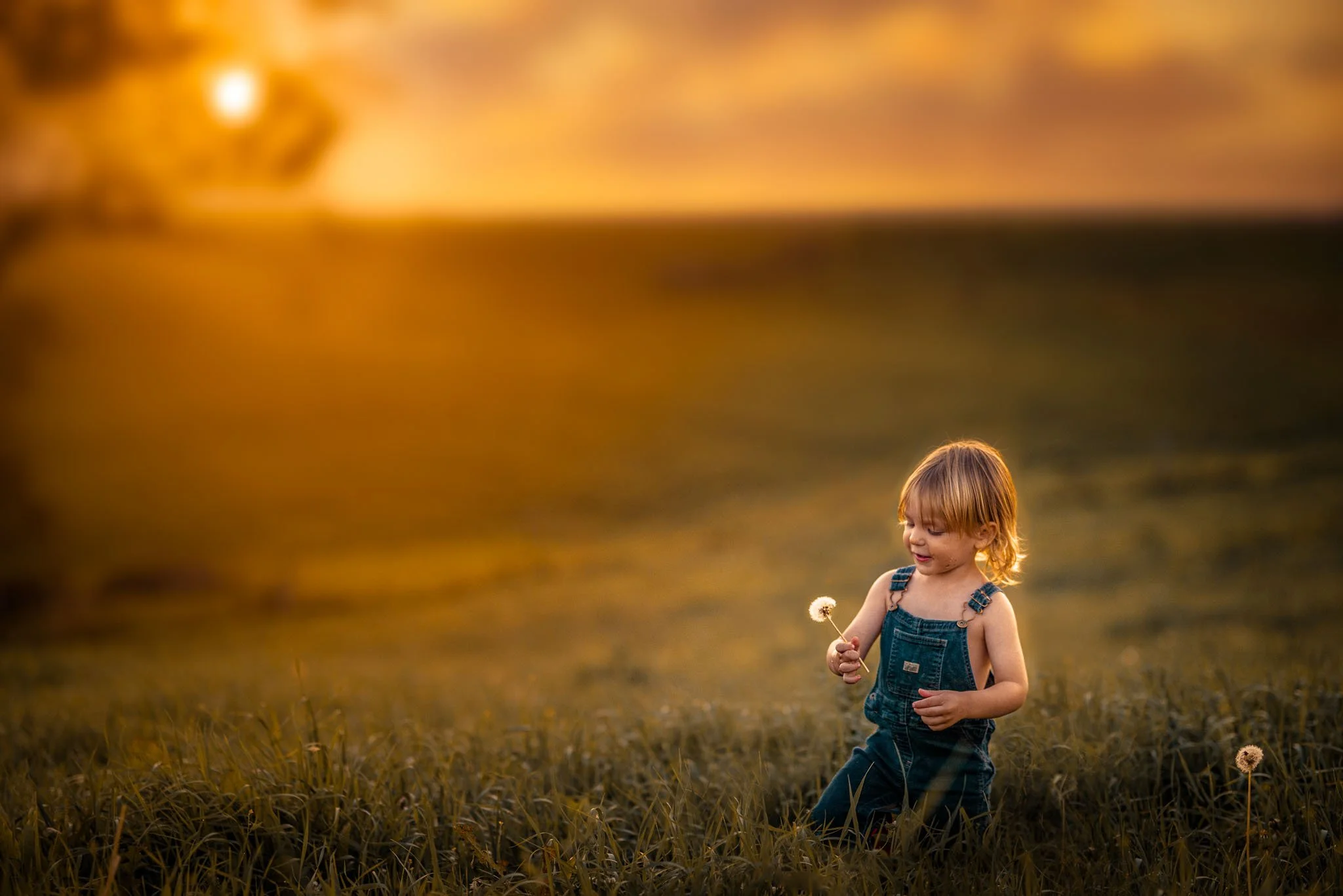 A young child with blonde hair, wearing denim overalls, standing in a field at sunset and holding a dandelion.