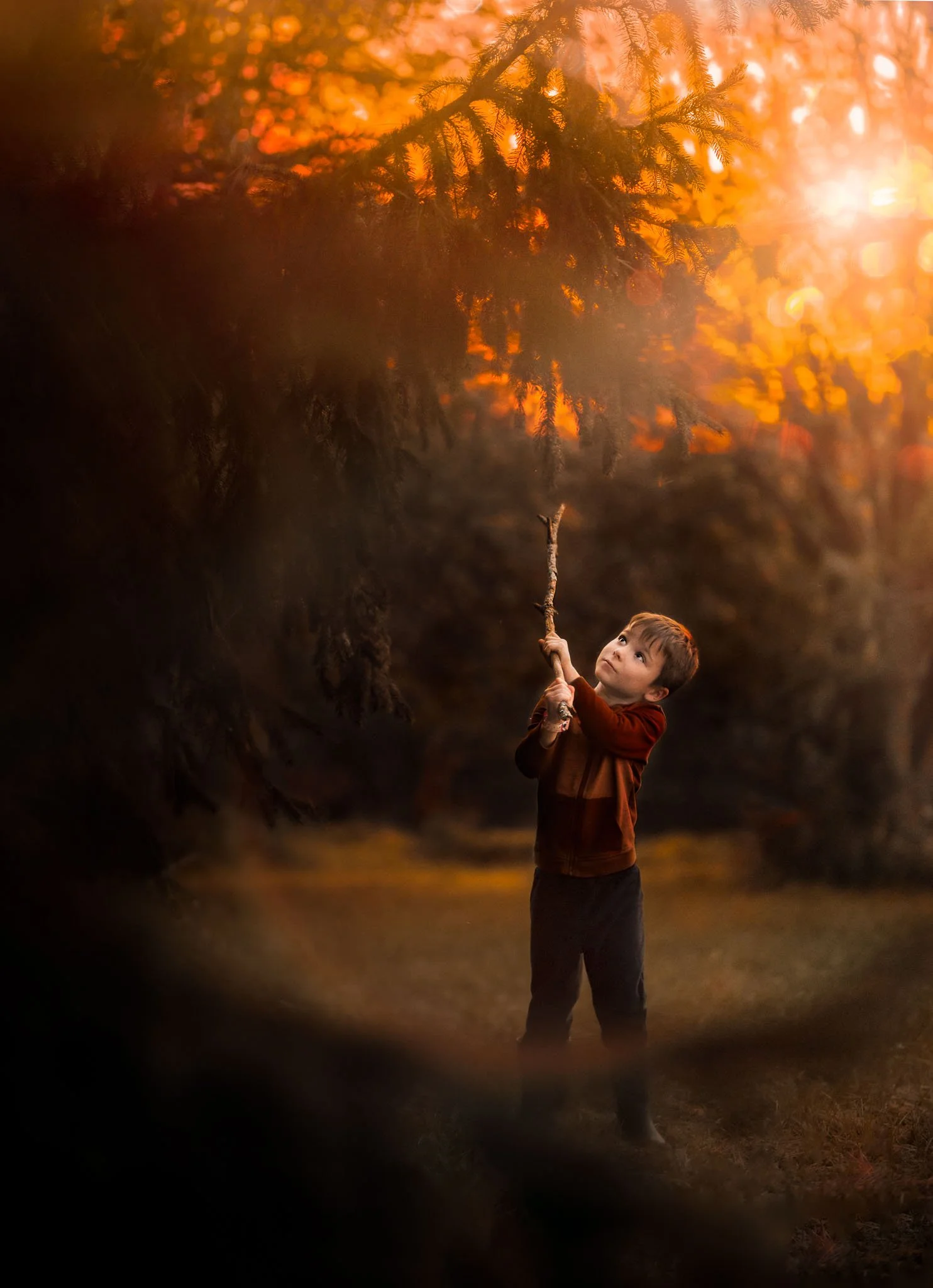 A young boy holding a stick and looking up outdoors during sunset or sunrise. Tall trees with orange and yellow leaves are in the background, creating a warm glow.