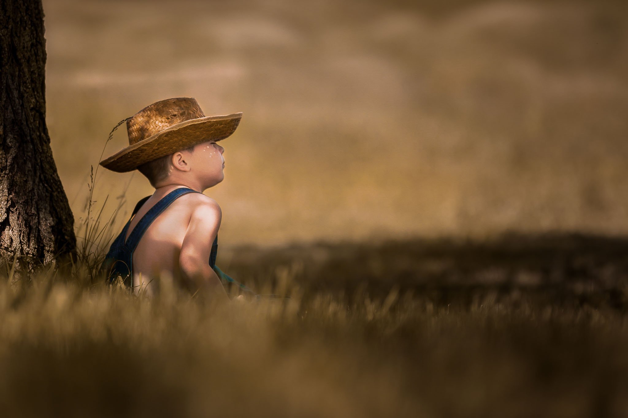 A young boy wearing a hat and overalls sitting on the grass near a tree, looking at the distance