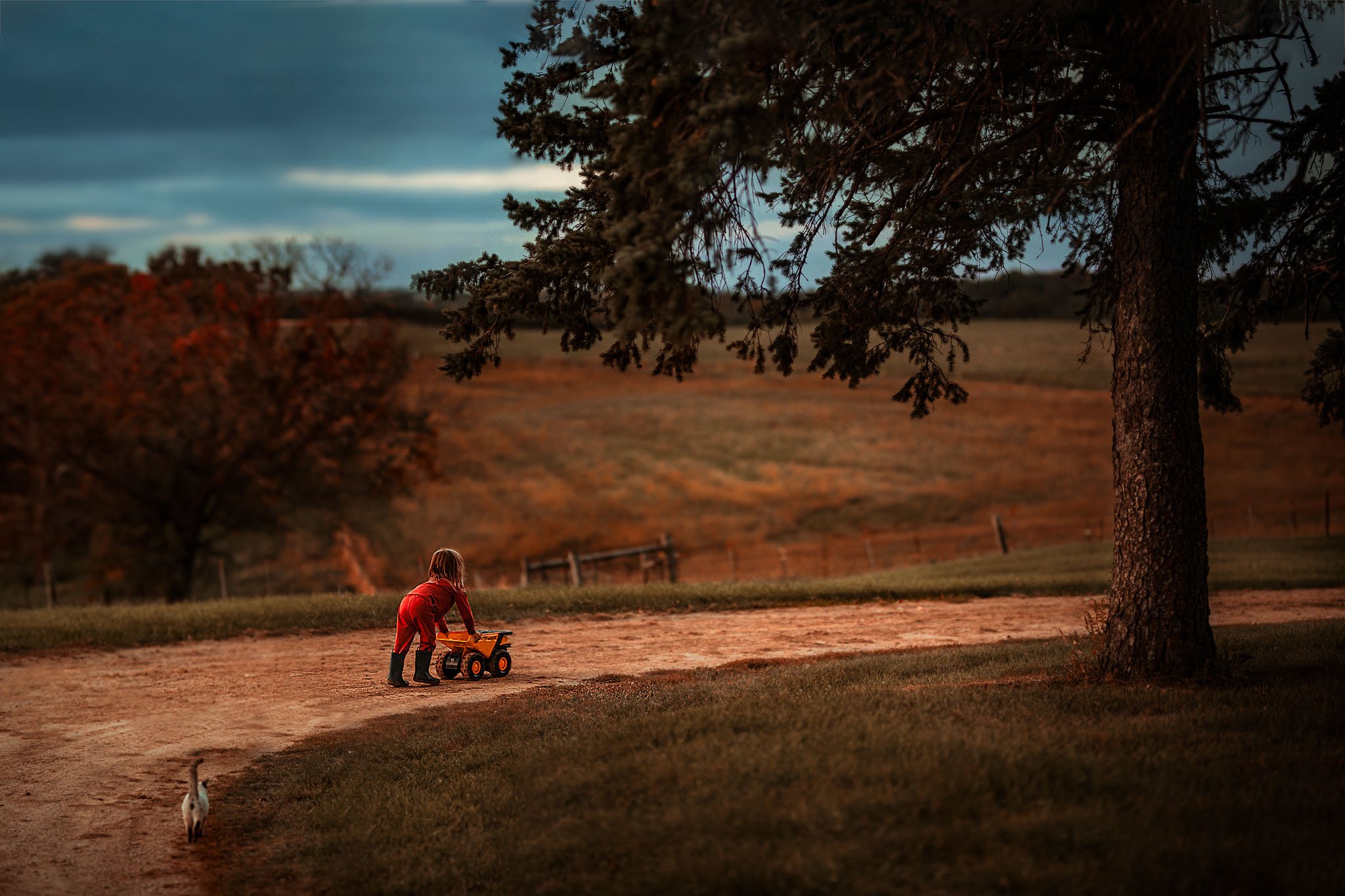 A child in a red jacket playing with a toy truck outdoors in a park during dusk, with a large tree in the foreground and a dog walking away in the distance.