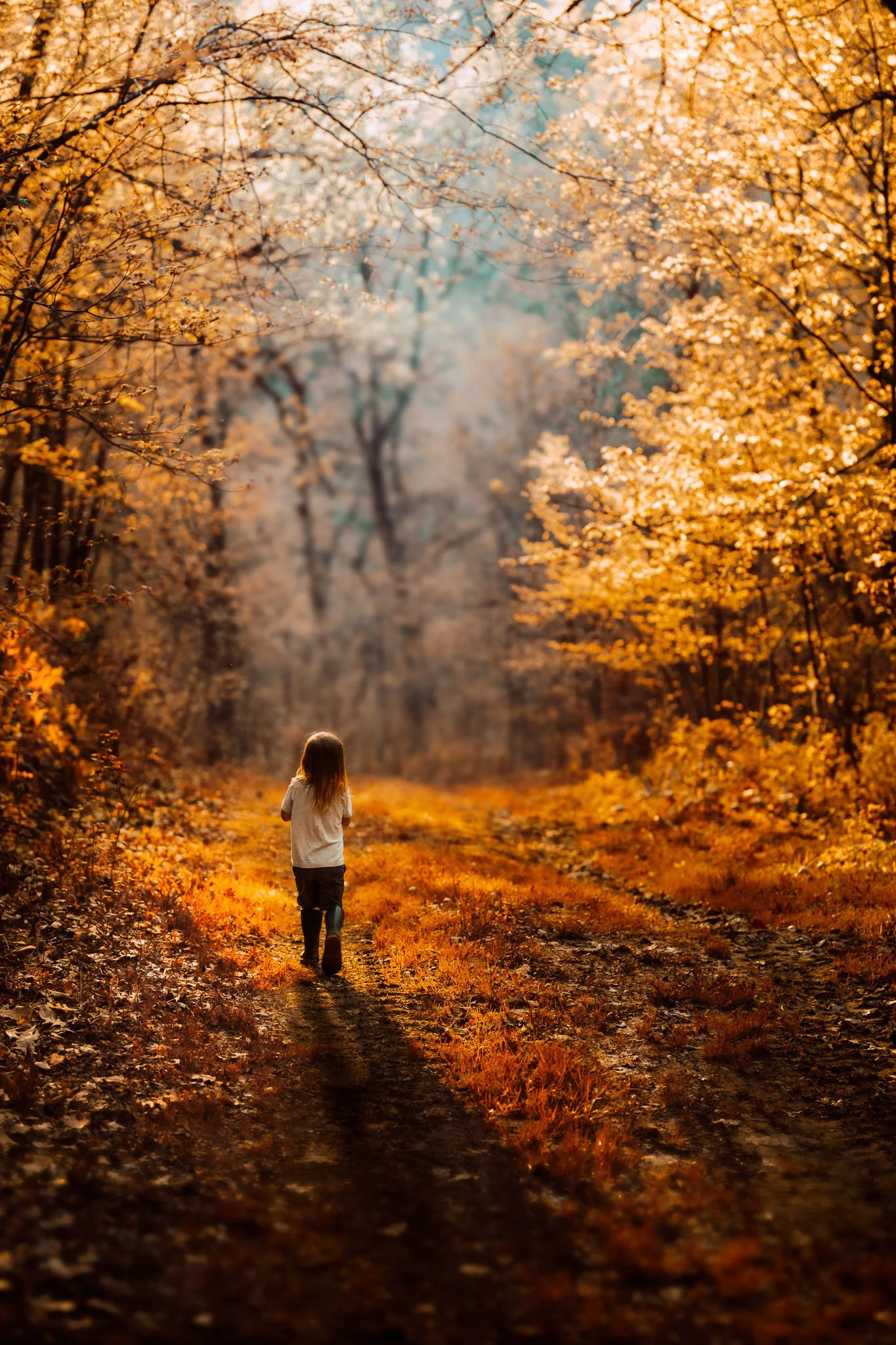 A young girl walks down a dirt path in a forest with orange autumn leaves on the trees and ground, illuminated by warm sunlight.