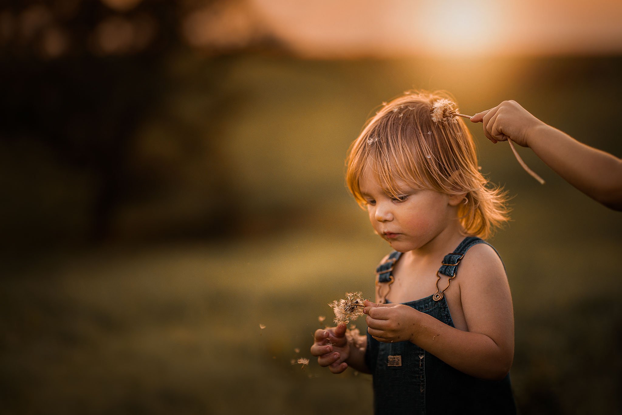 A young child with orange hair and a dark tank top holding dandelions outdoors during sunset.