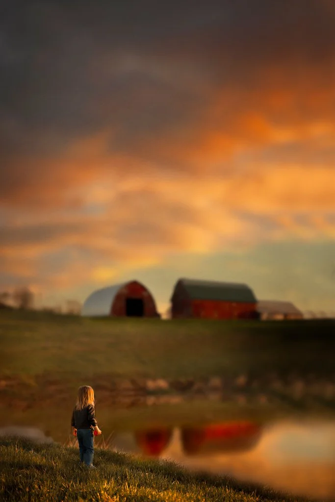A young girl standing on the grass near a pond or lake, looking towards farm buildings and a colorful sunset sky.