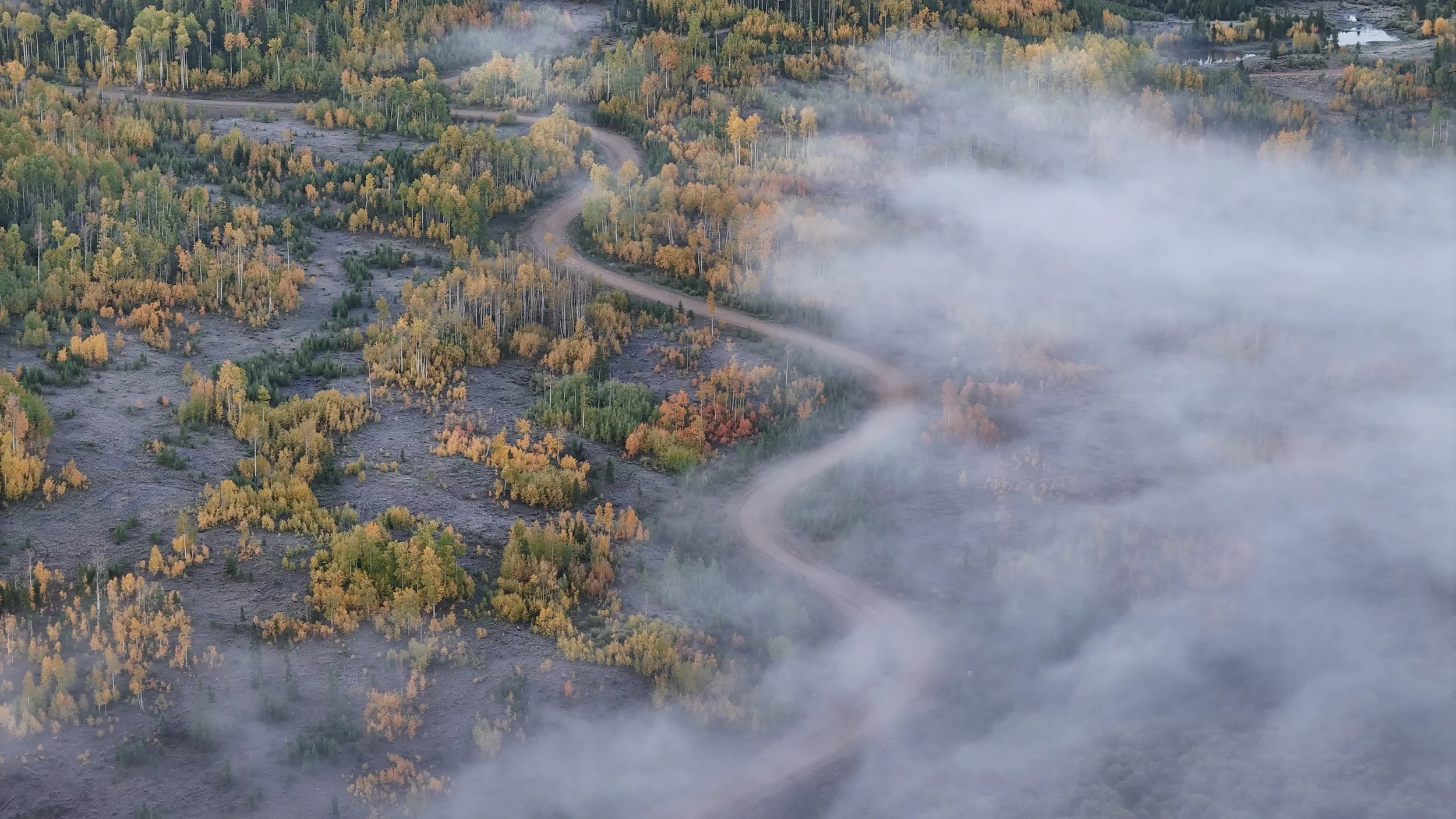 dji_fly_20250917_065332_0445_1758114639452_photo.jpeg