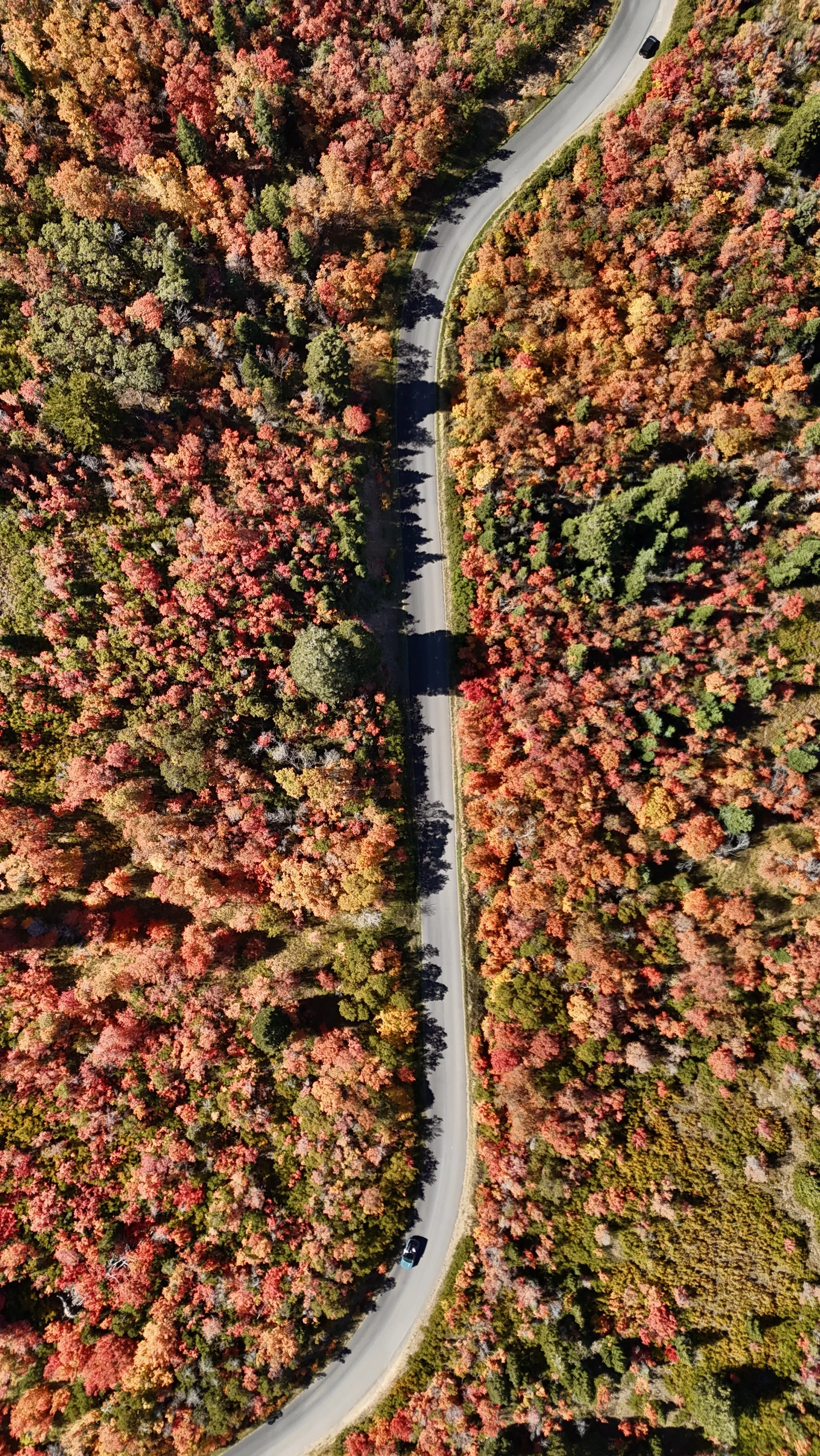dji_fly_20240928_123740_0462_1727574708675_photo.jpeg
