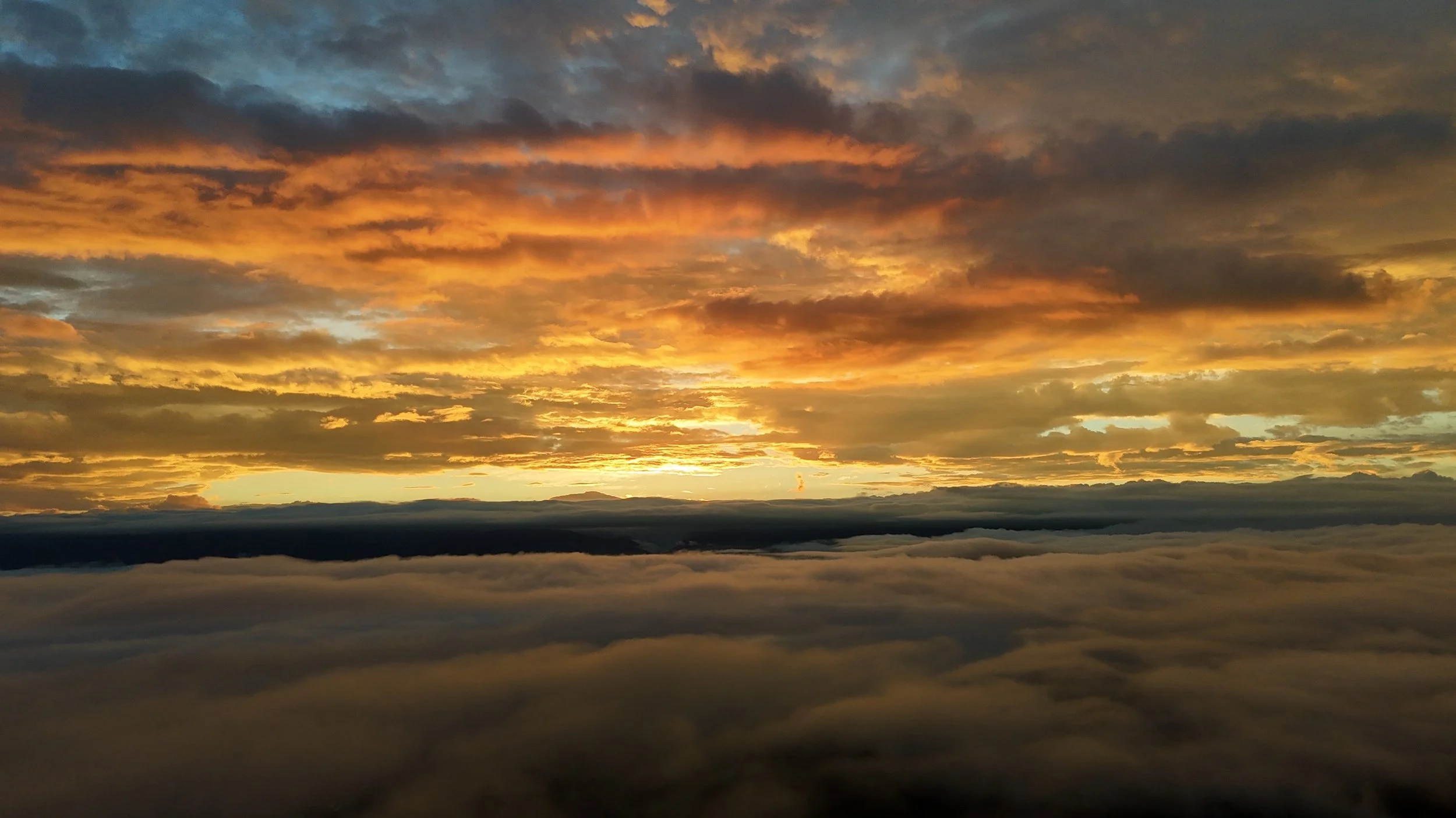 dji_fly_20250828_063038_0042_1756434758858_photo.jpeg