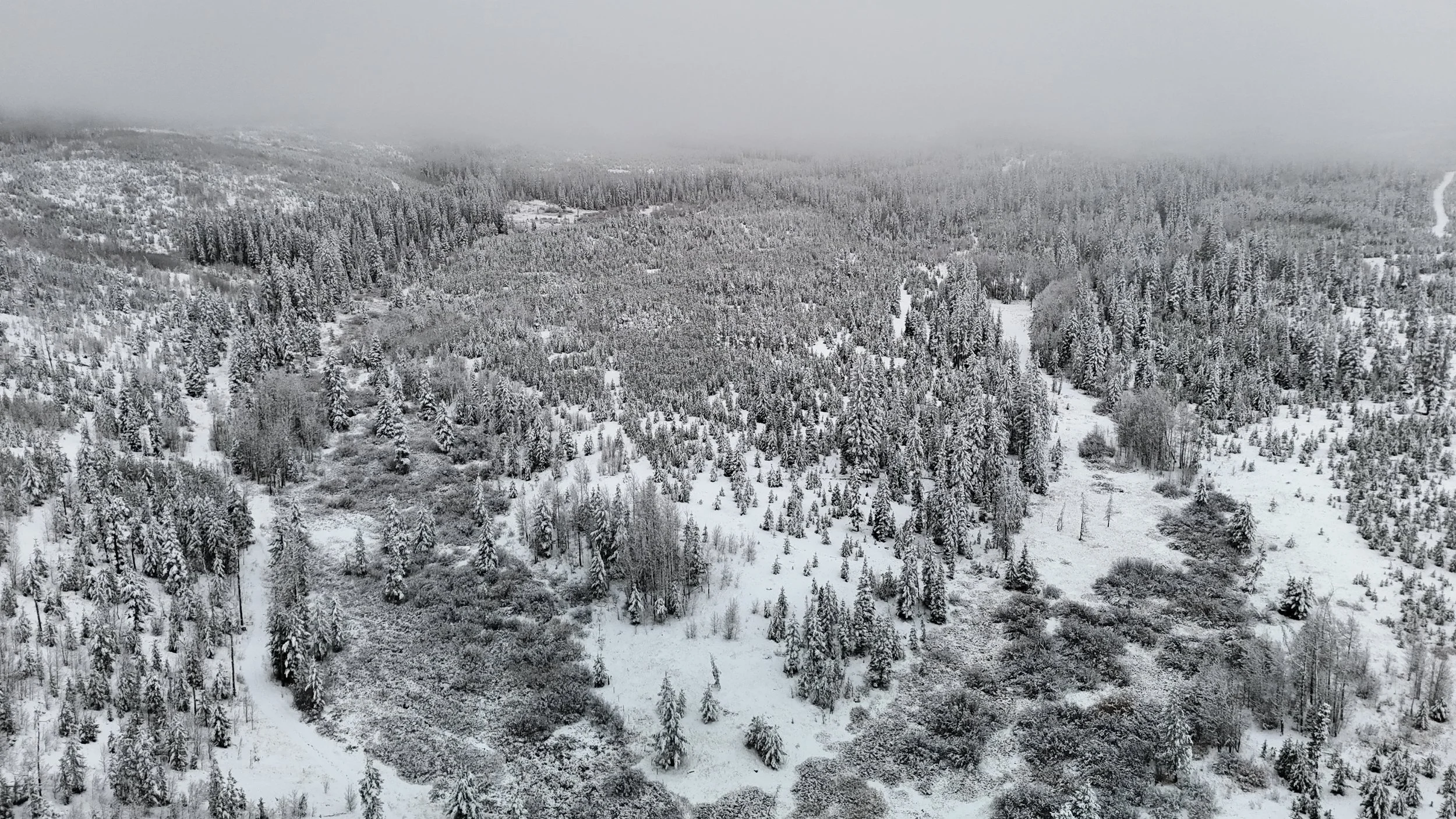 dji_fly_20241021_111558_0983_1729531170552_photo.jpeg