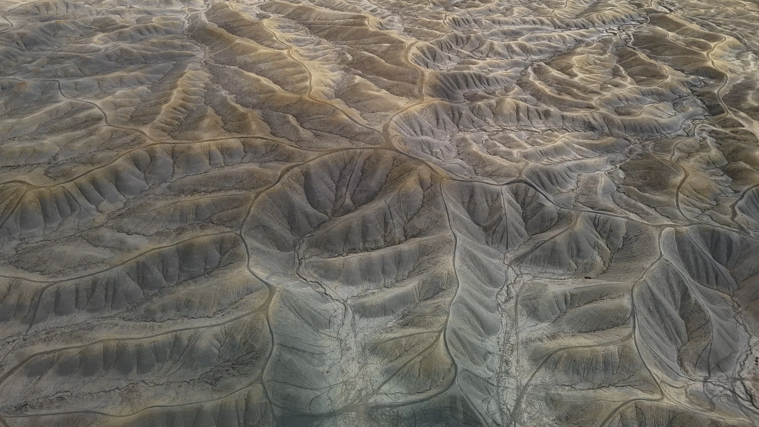 dji_fly_20250511_124918_0983_1747137943499_photo.jpeg