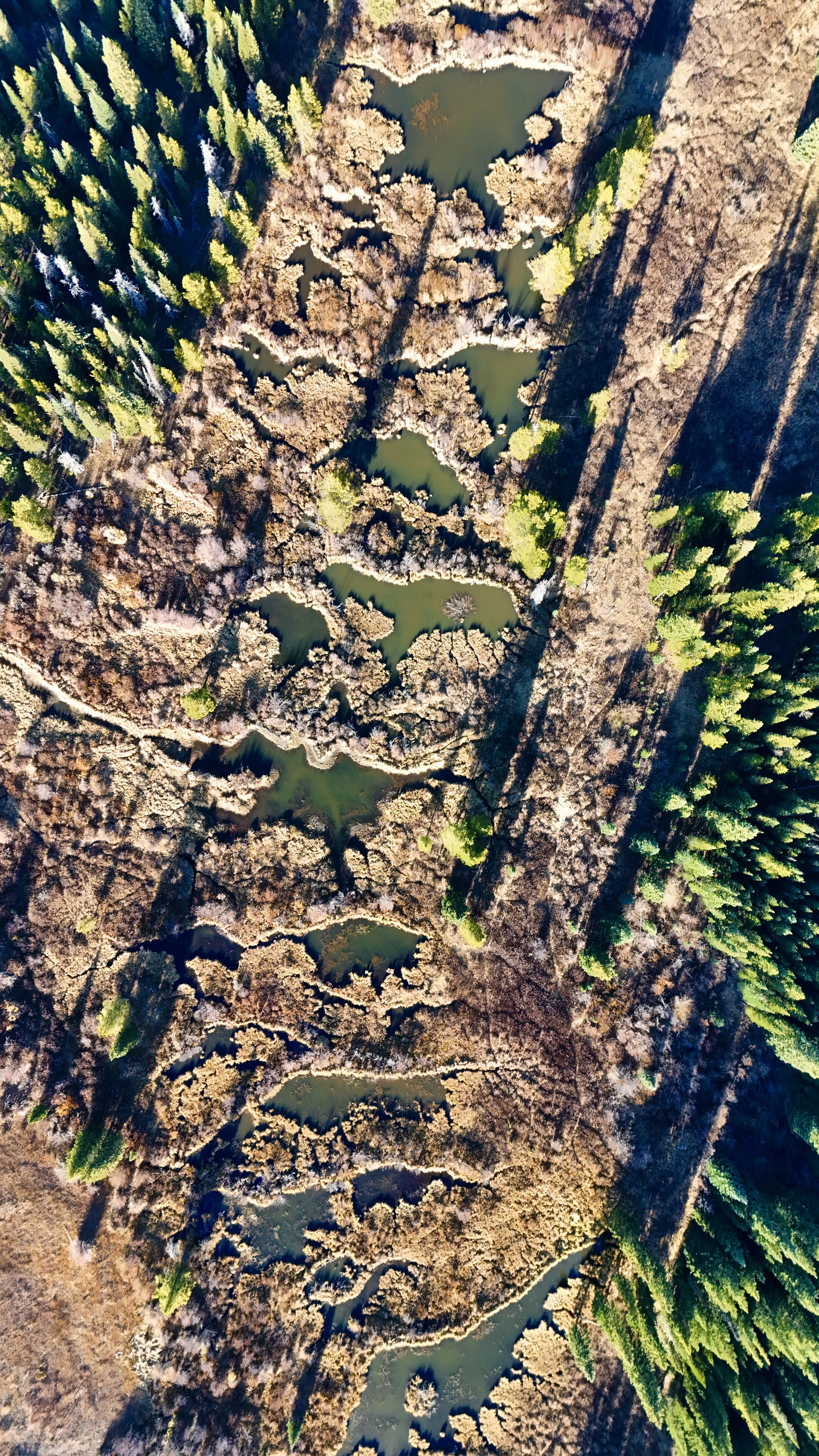 dji_fly_20231022_162922_0399_1698860720252_photo.jpeg