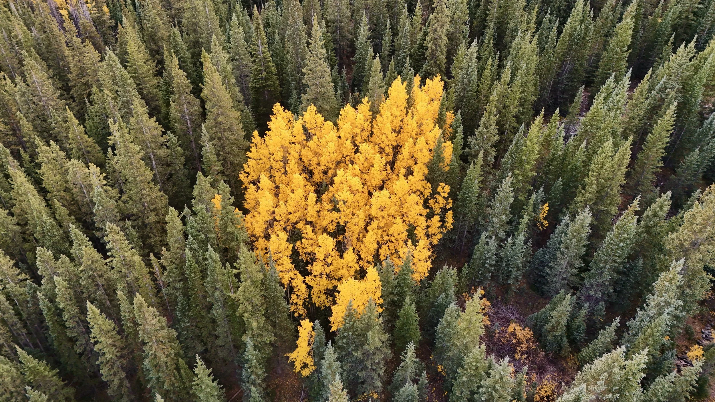 dji_fly_20231001_122724_0073_1696194391031_photo.jpeg