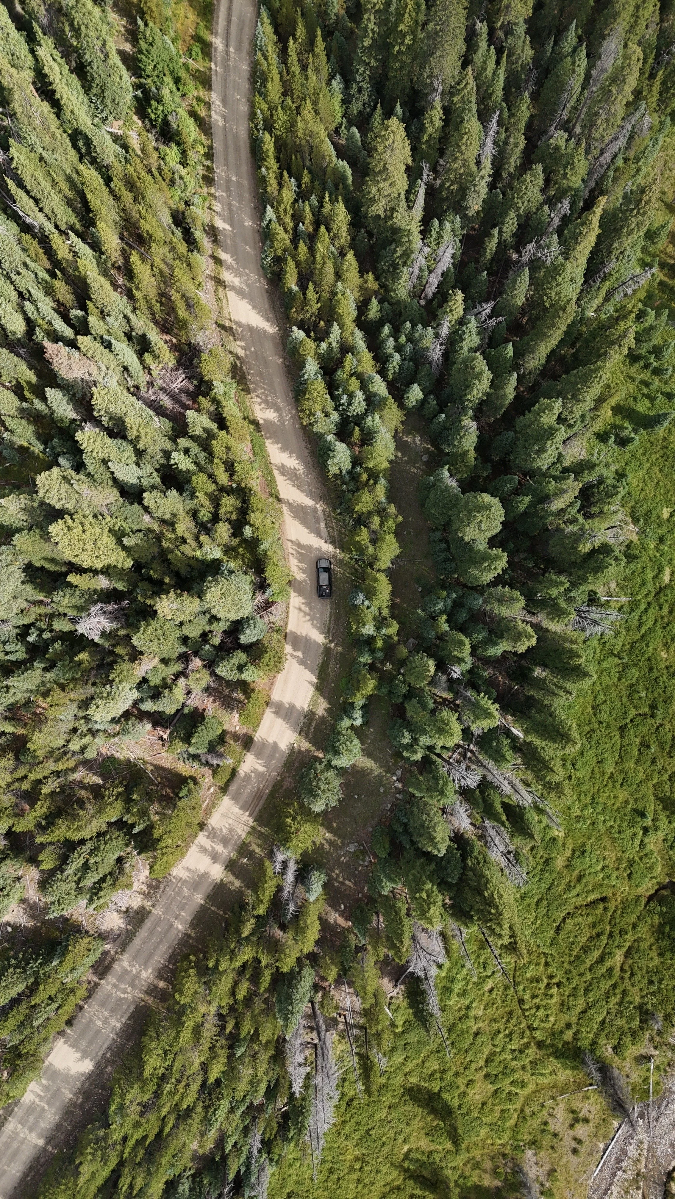 dji_fly_20250824_104034_0944_1756170914548_photo.jpeg