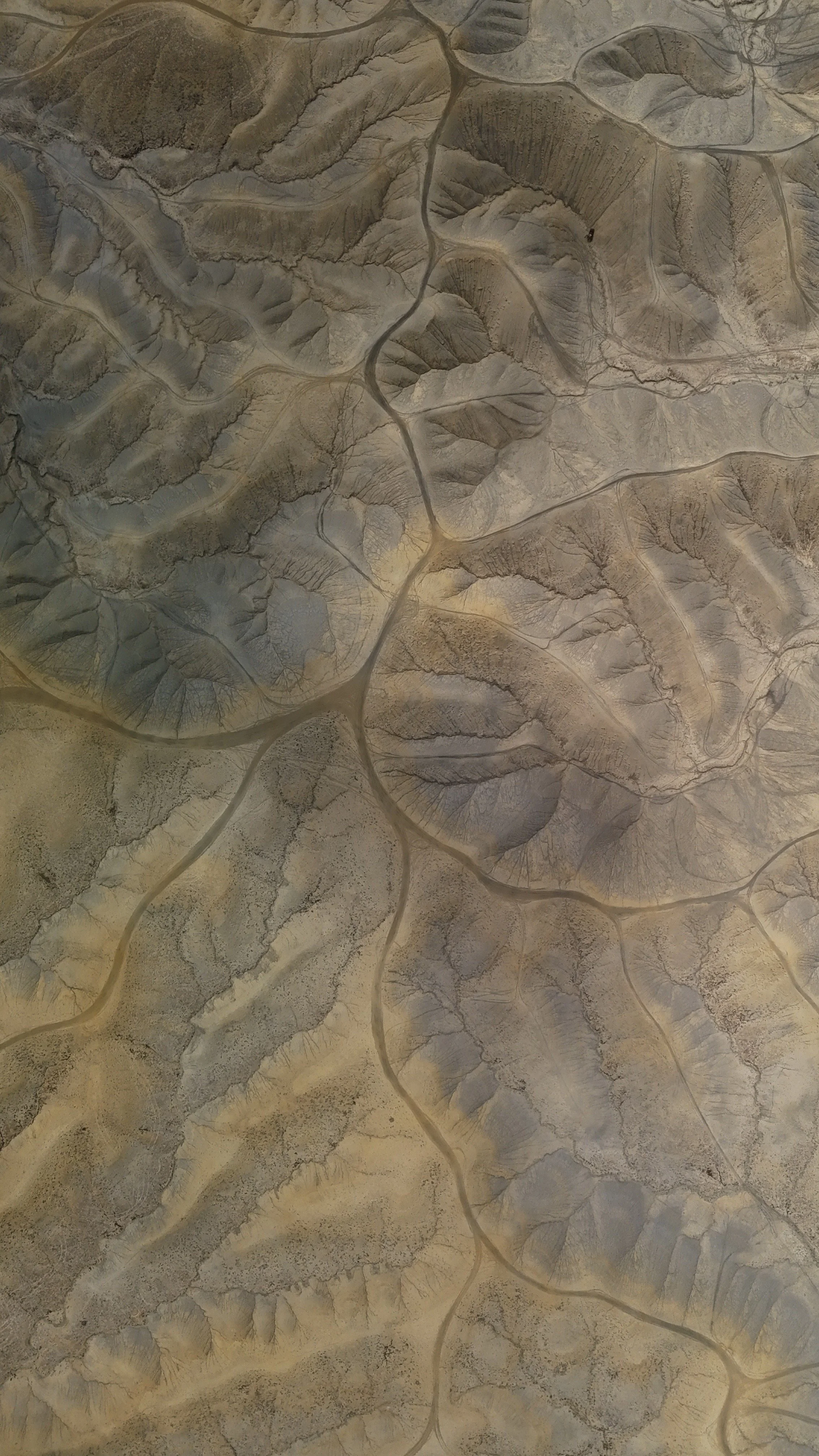 dji_fly_20250511_125024_0987_1747137943756_photo.jpeg