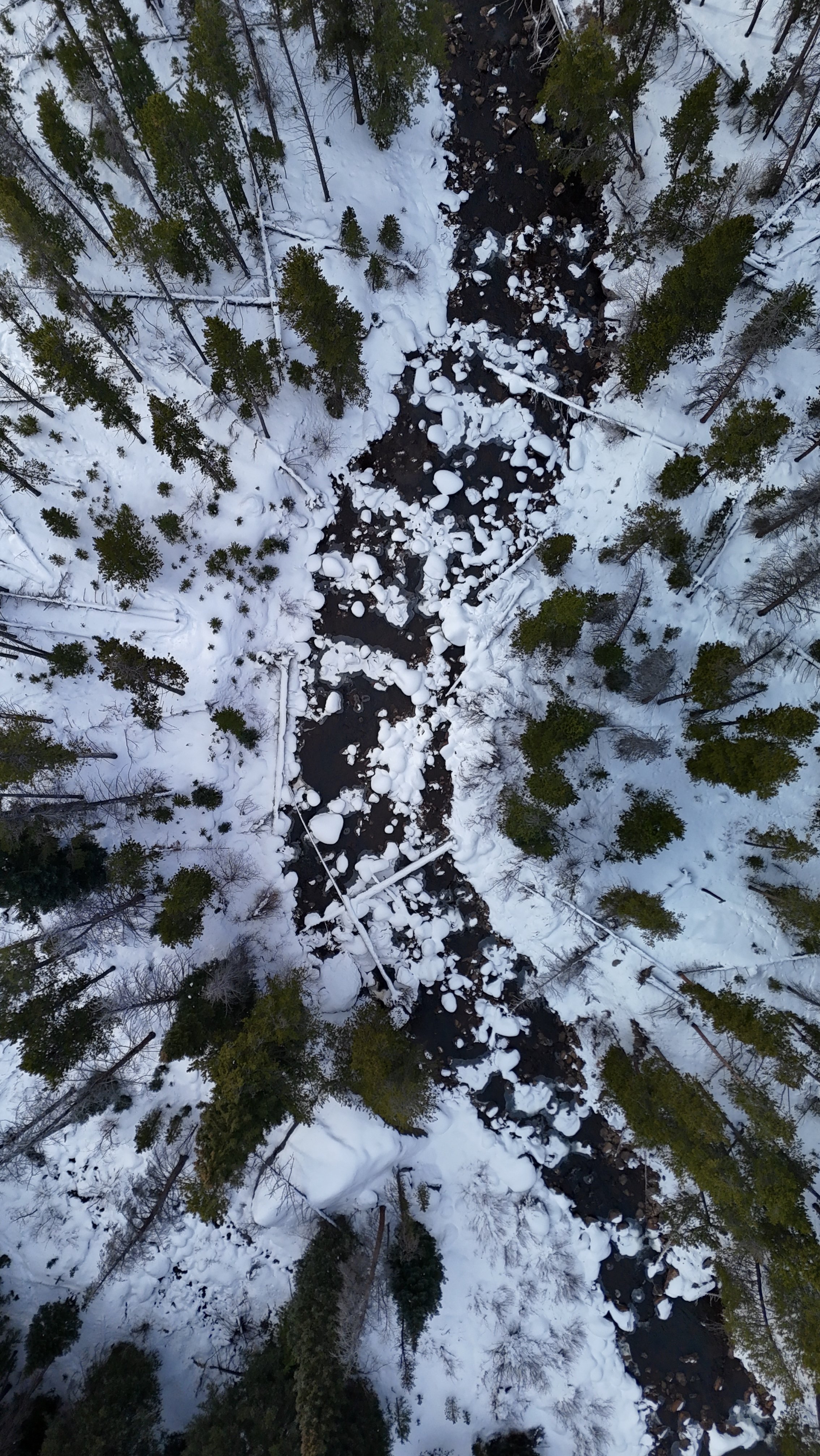 dji_fly_20241222_110858_0655_1734927554050_photo.jpeg