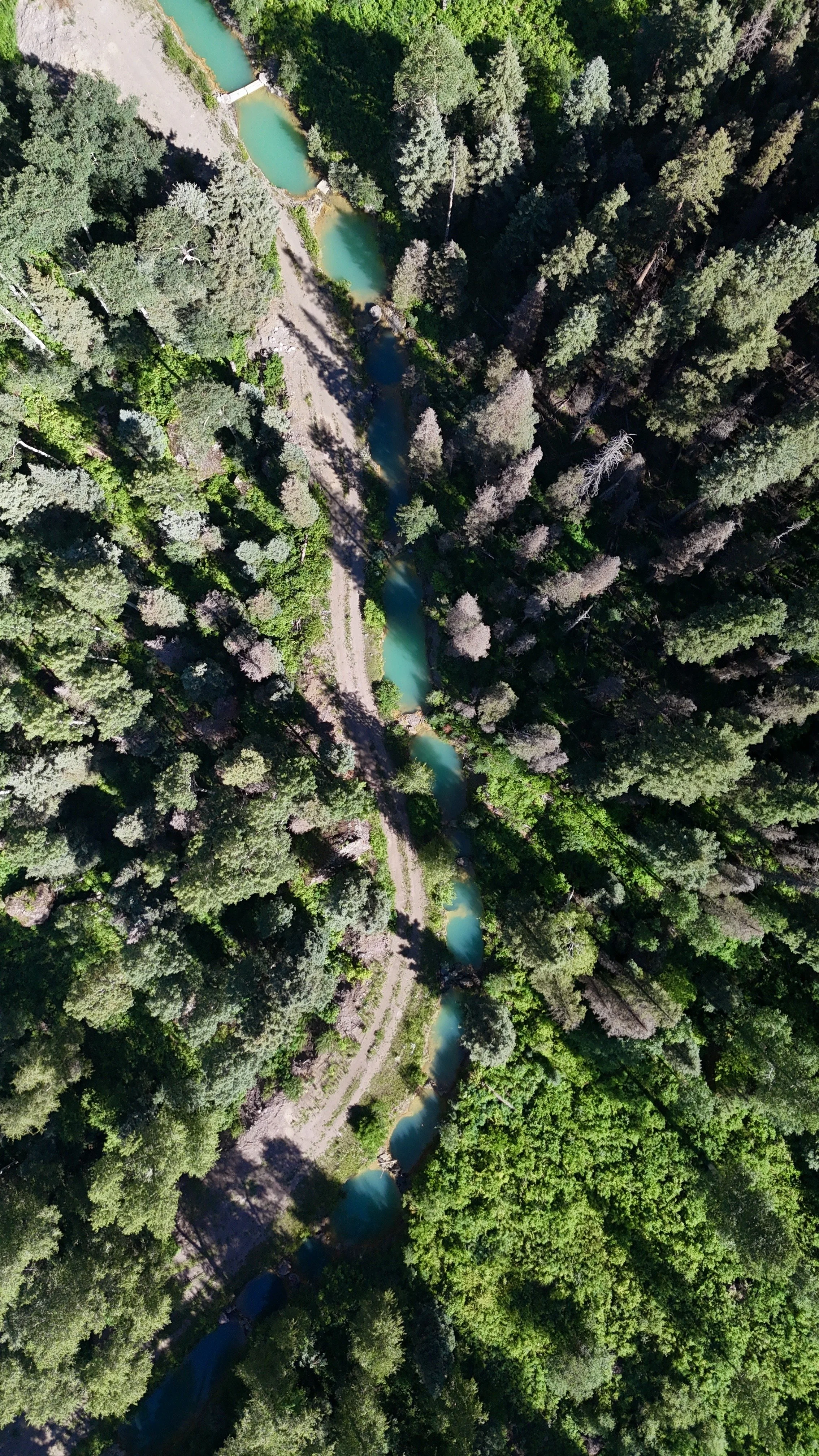dji_fly_20250803_163102_0549_1754344457287_photo.jpeg