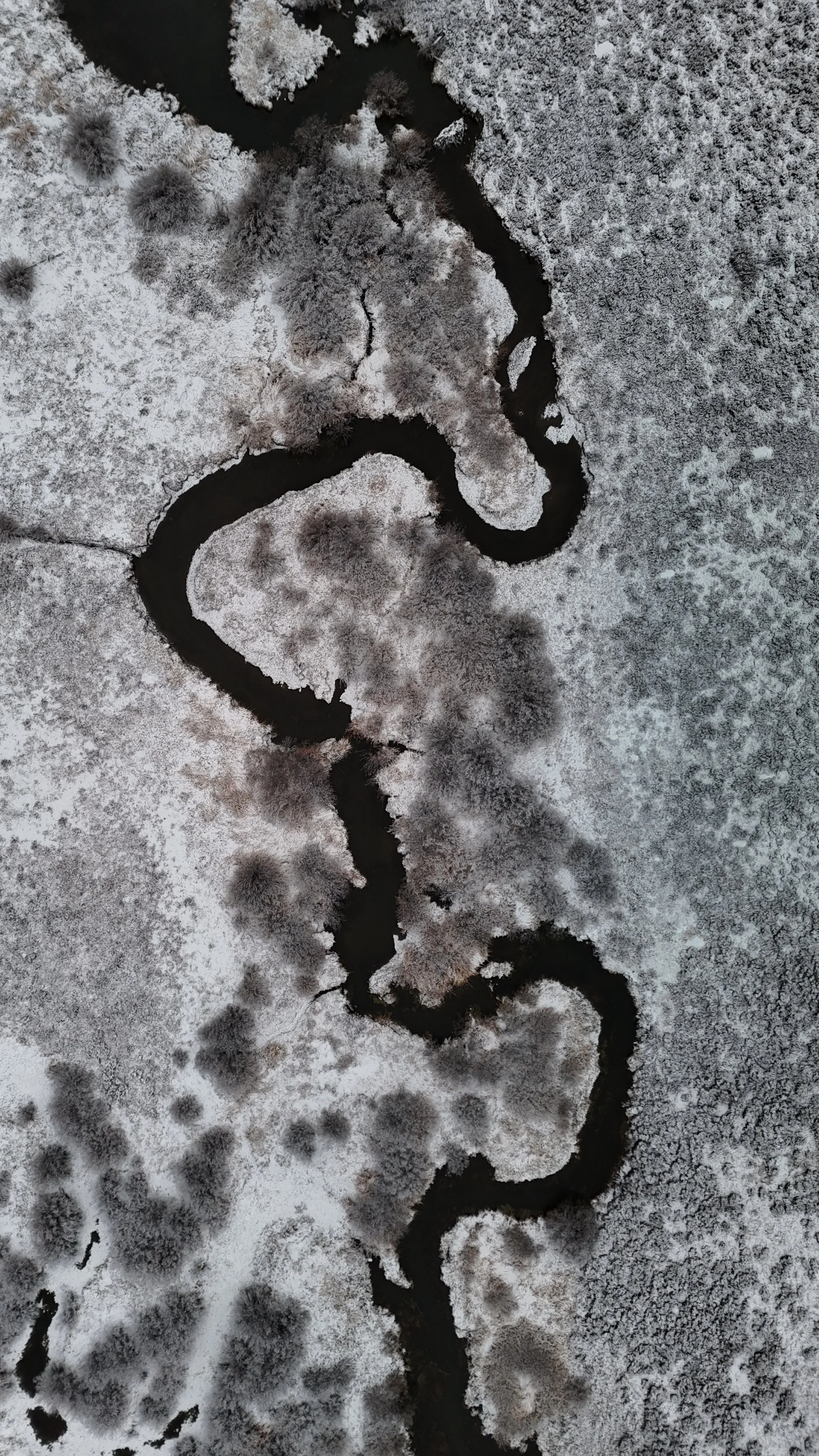 dji_fly_20241021_075828_0956_1729519384053_photo.jpeg