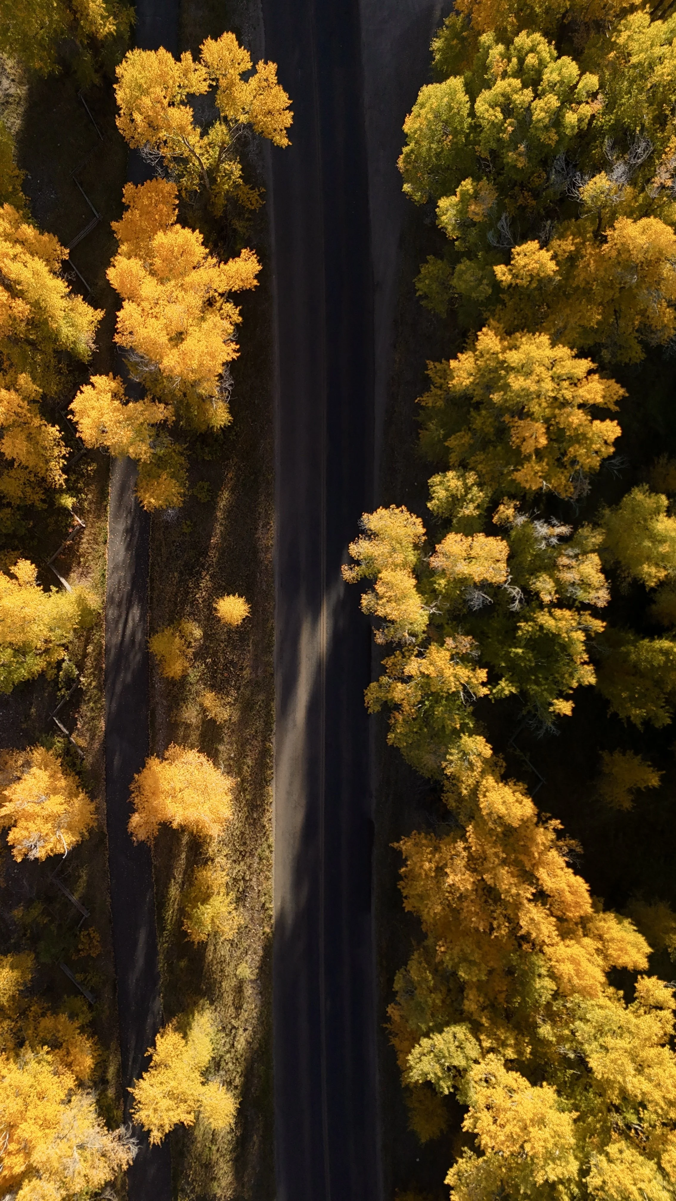 dji_fly_20240927_174400_0249_1727480797398_photo.jpeg