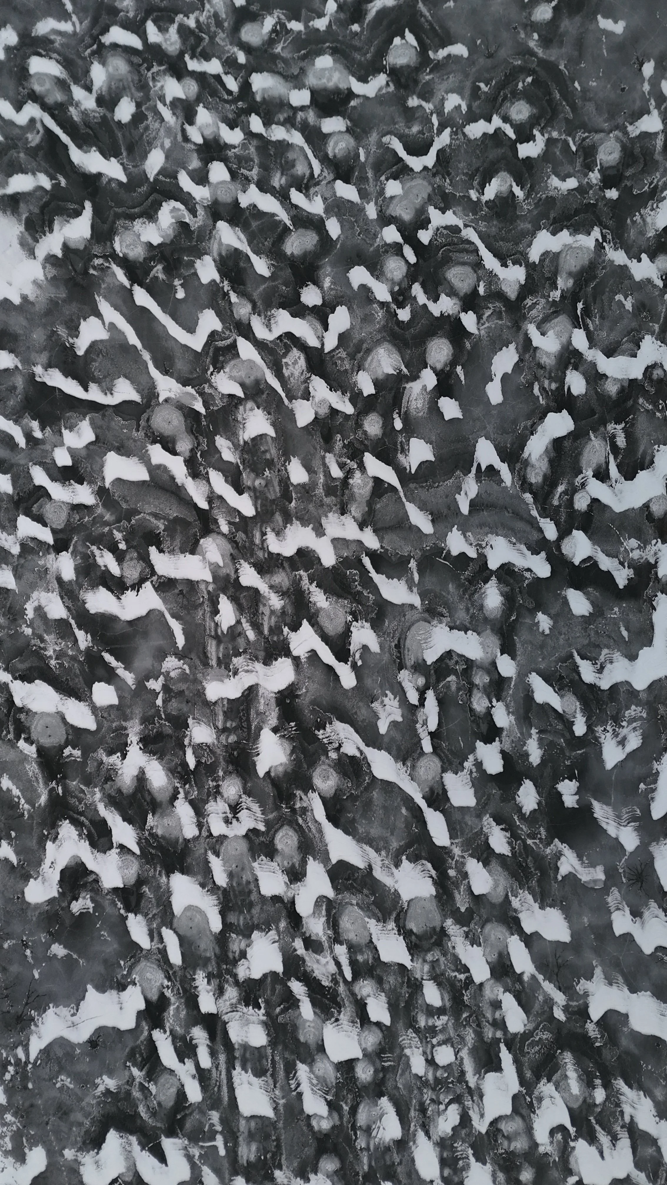dji_fly_20241121_065210_0348_1732197769068_photo.jpeg
