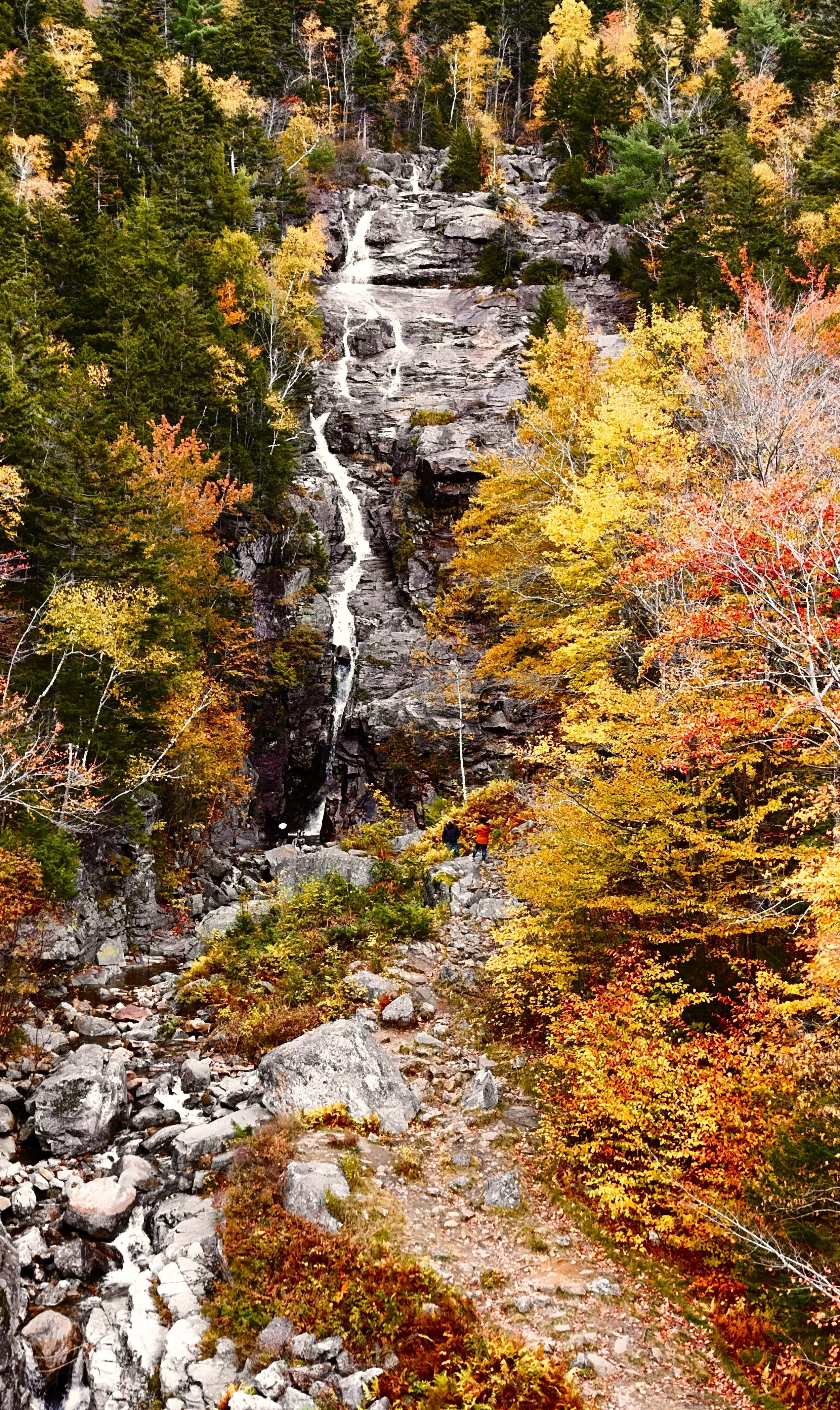 dji_fly_20231014_115132_0366_1697325412132_photo.jpeg