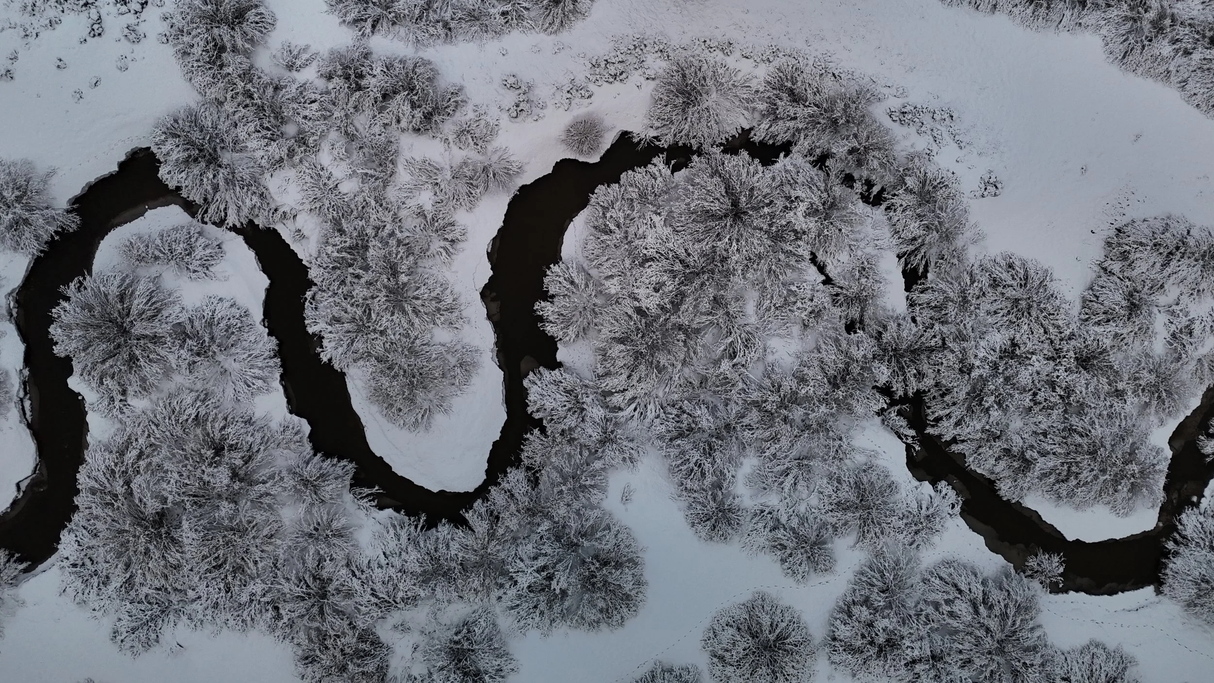 dji_fly_20250329_071504_0458_1743263008023_photo.jpeg