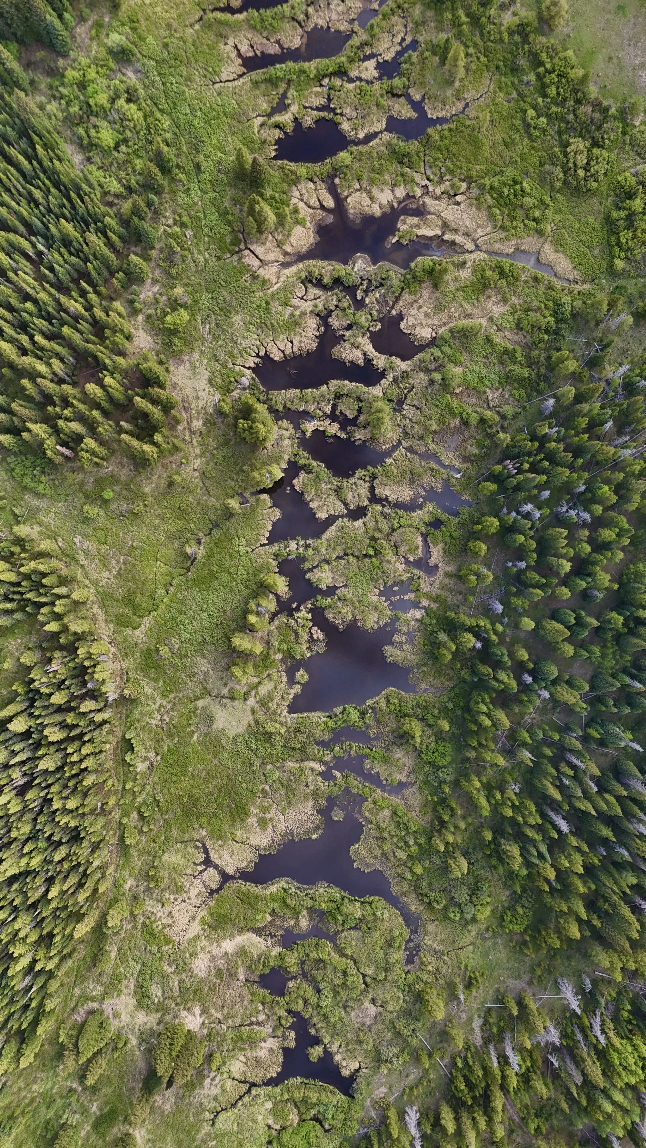 dji_fly_20240615_180452_0204_1718496790794_photo.jpeg
