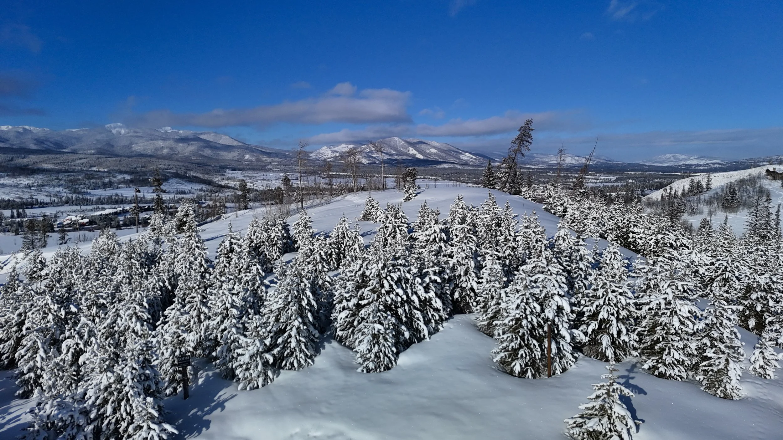 dji_fly_20250209_090914_0171_1739119137340_photo.jpeg