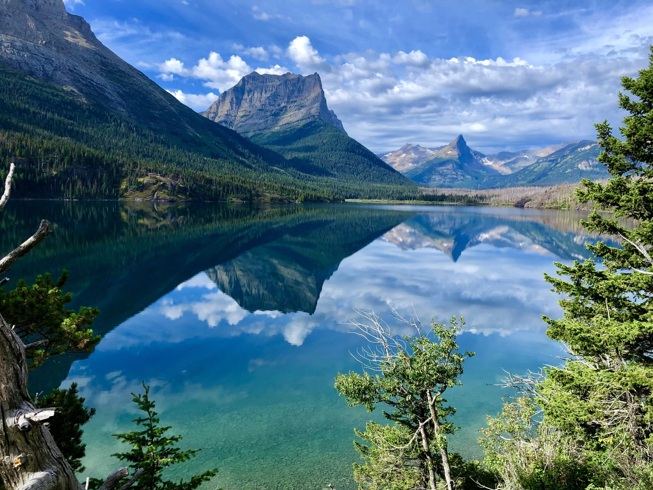 IMG_6871.jpeg