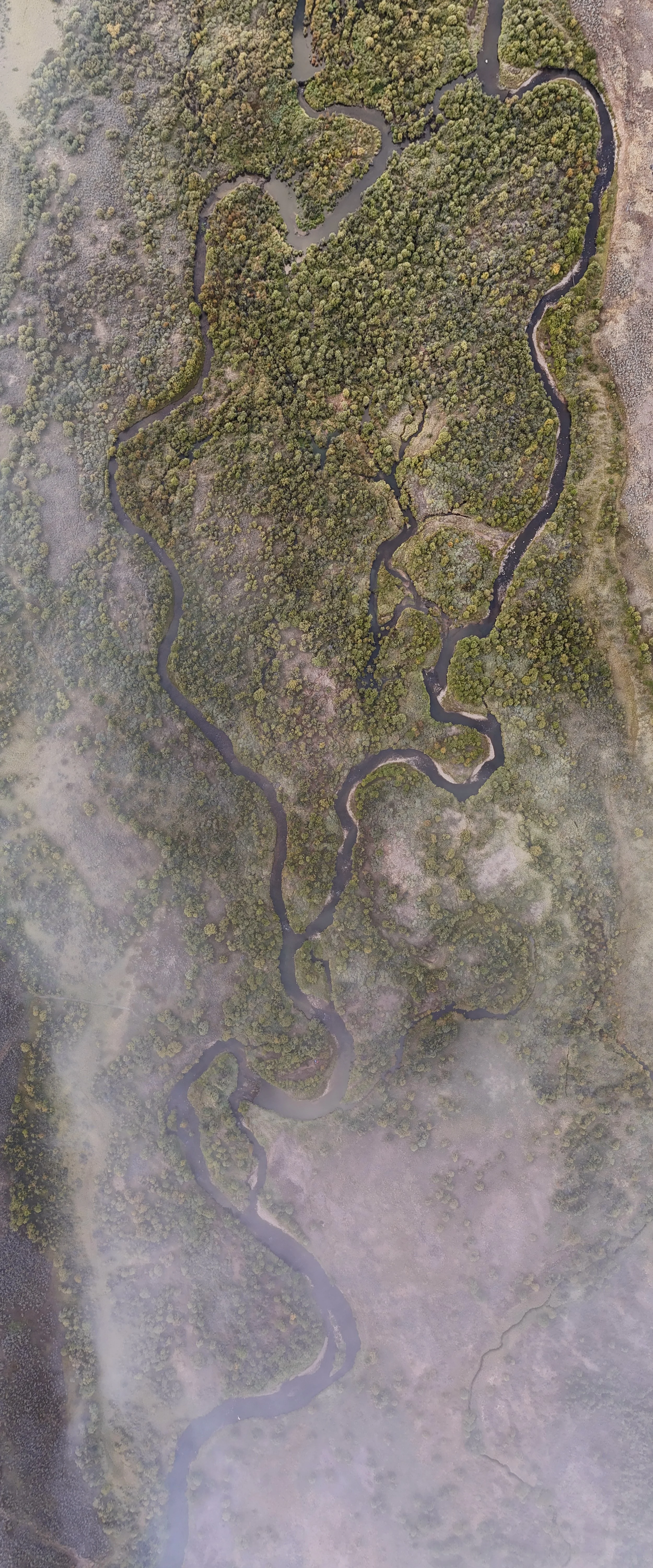 dji_fly_20250910_065340_0190_1757509161645_pano.jpeg