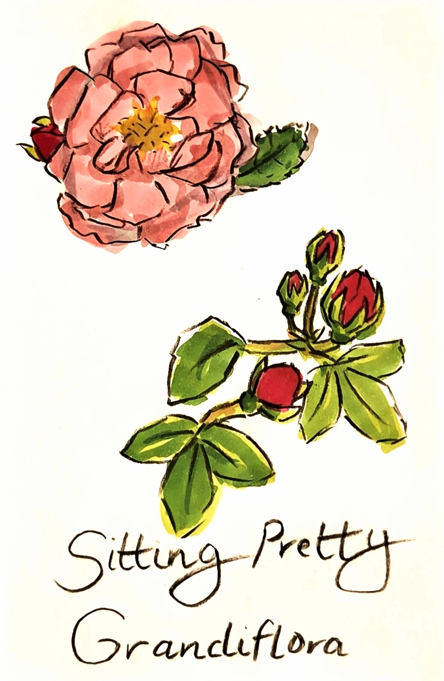 "Sitting Pretty" (2025) Alcohol Marker and Charcoal