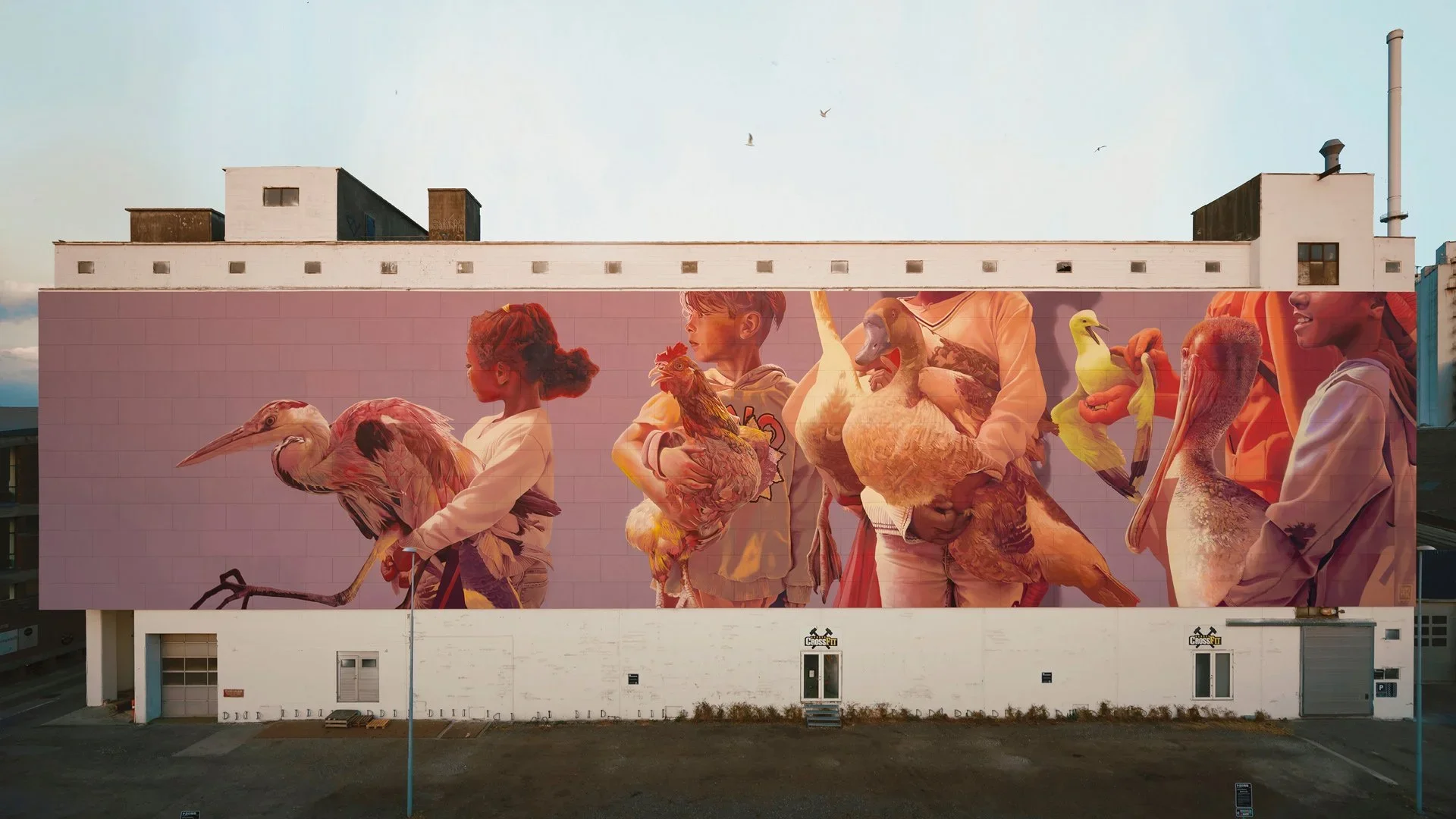17 Walls