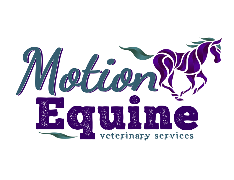 Motion Equine Veterinary Services