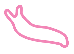 Pink outline of a slug