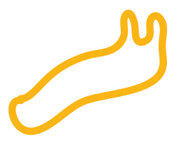 A simple illustration of a slug on a black background.