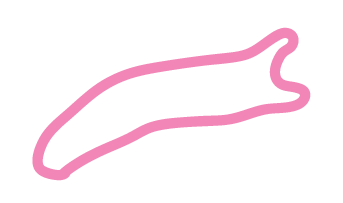Outline of a pink slug