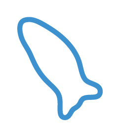 Outline drawing of a slug