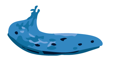 A cartoon illustration of a blue salamander with dark spots.