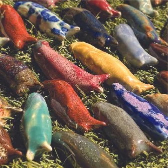 Colorful slugs on a display tray.