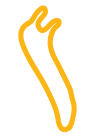 Illustration of a yellow slug outline.