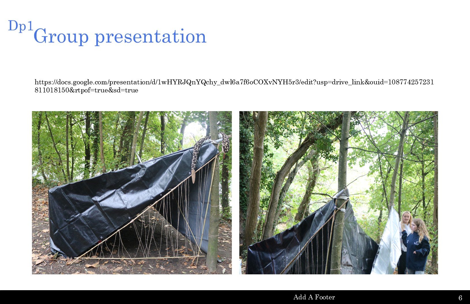 Slide6.JPG