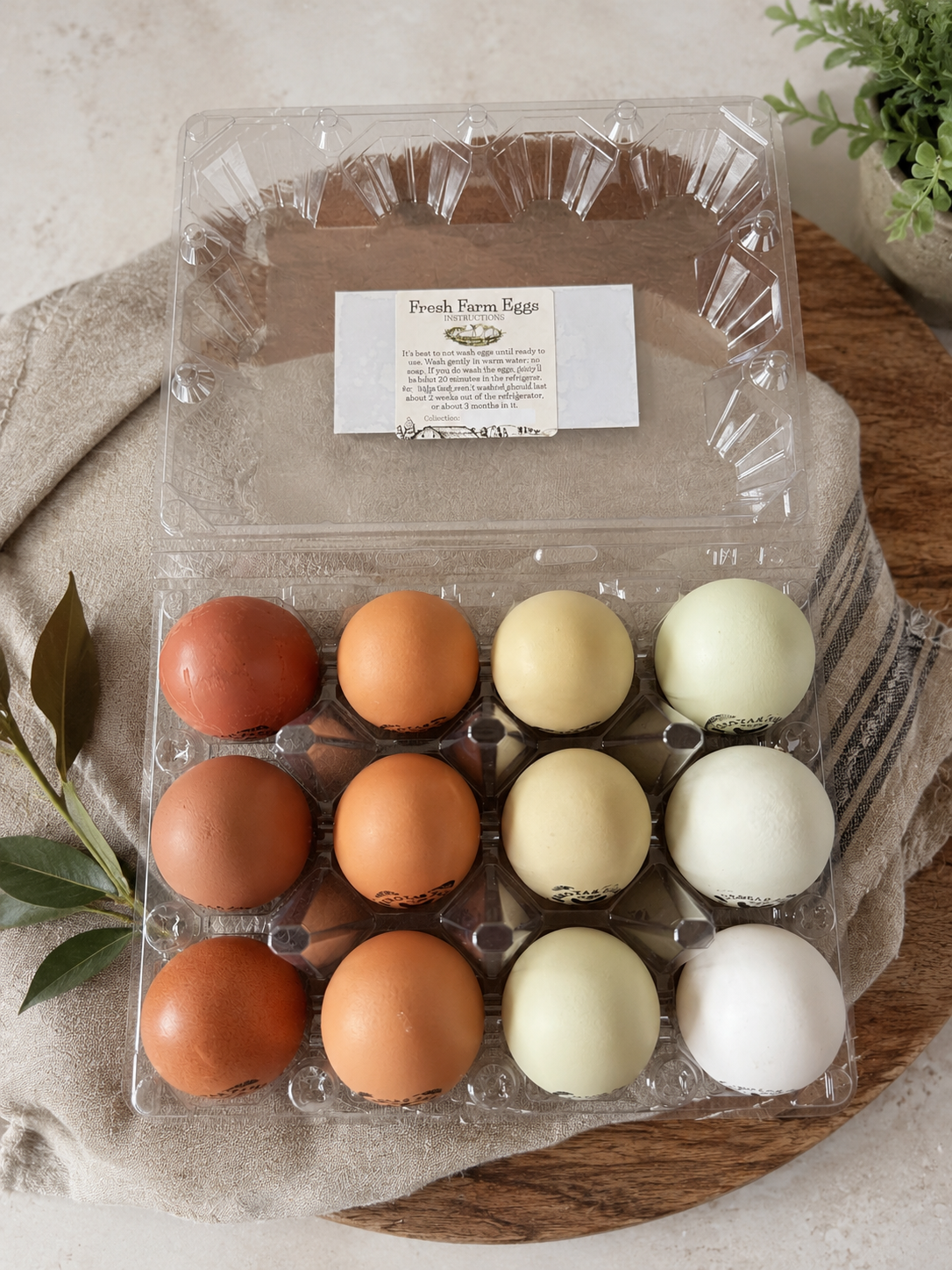 A plastic carton of mixed farm eggs with brown, beige, and white eggs on a beige cloth, with green leaves and a potted plant nearby.