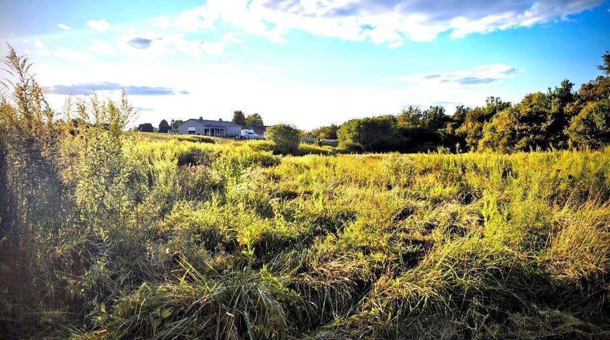 A rural landscape with a grassy field, trees, and a house in the distance under a partly cloudy sky.