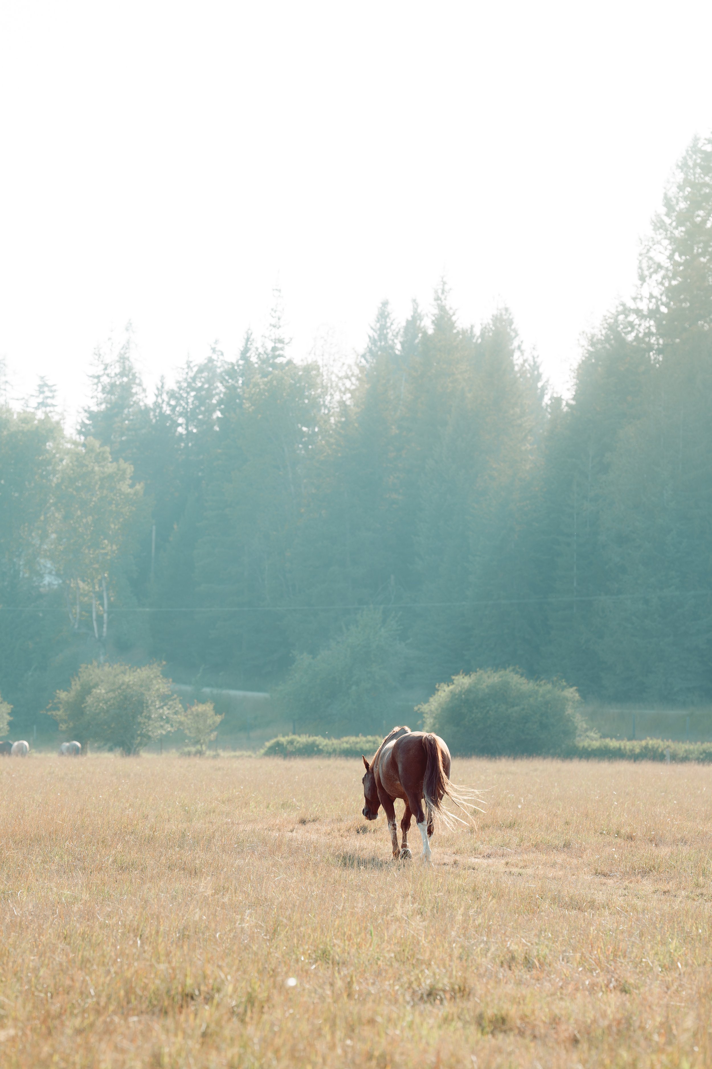 A7405964-Edit.jpg