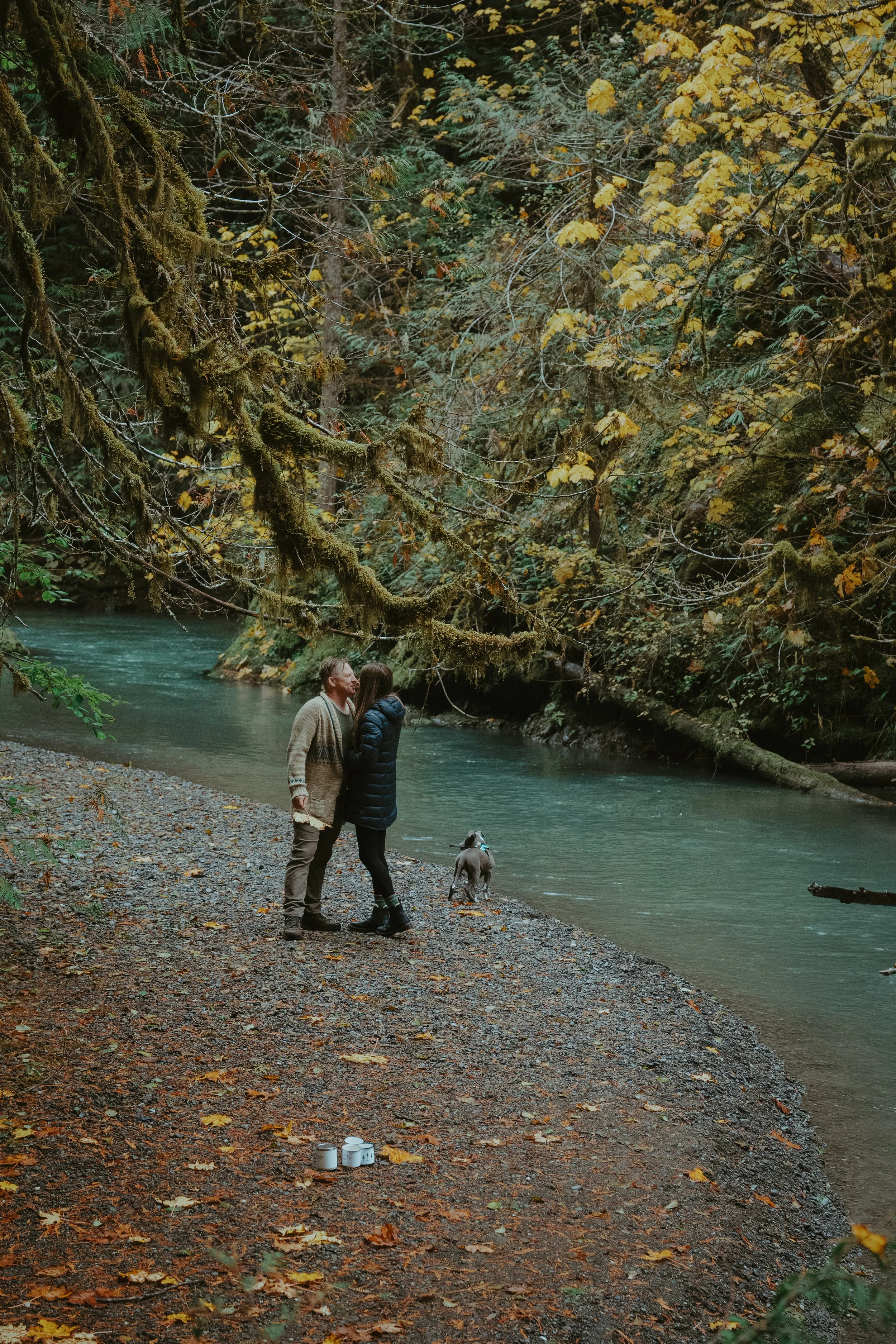 A couple standing by a river in a forest with autumn leaves, accompanied by a dog. The ground is covered with fallen leaves, and mossy branches hang overhead.
