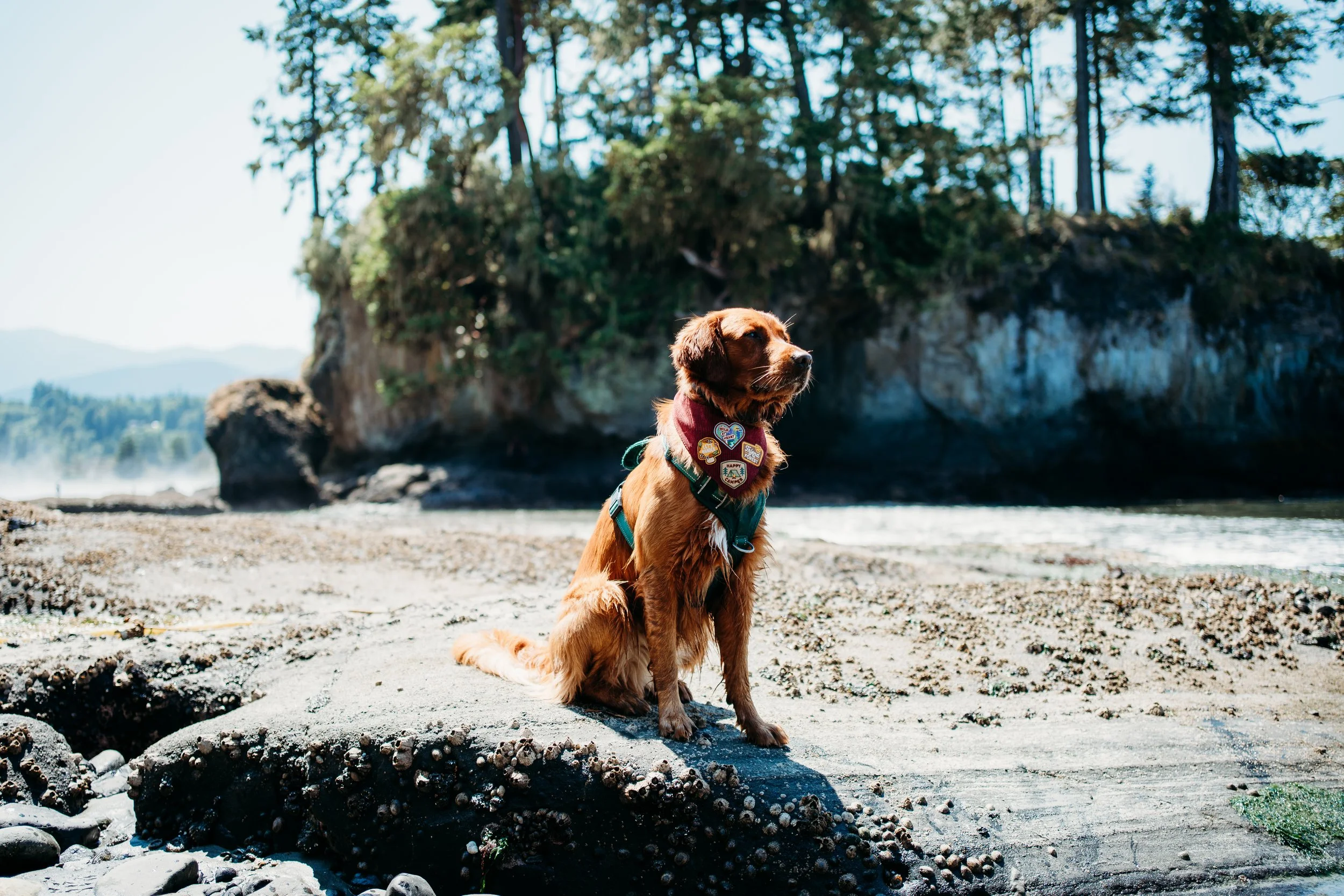 A7401535.jpg