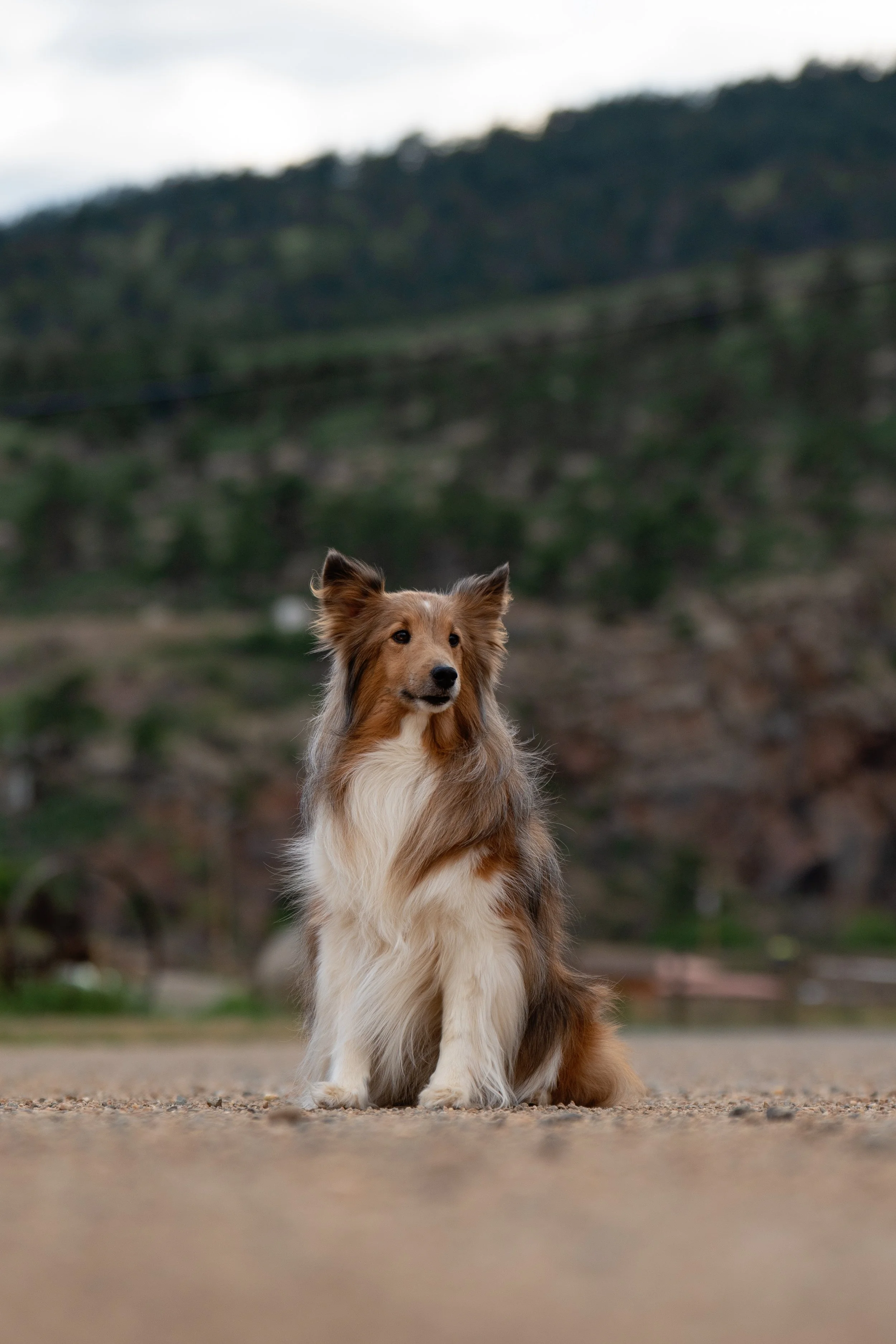 A7406632-Edit.jpg
