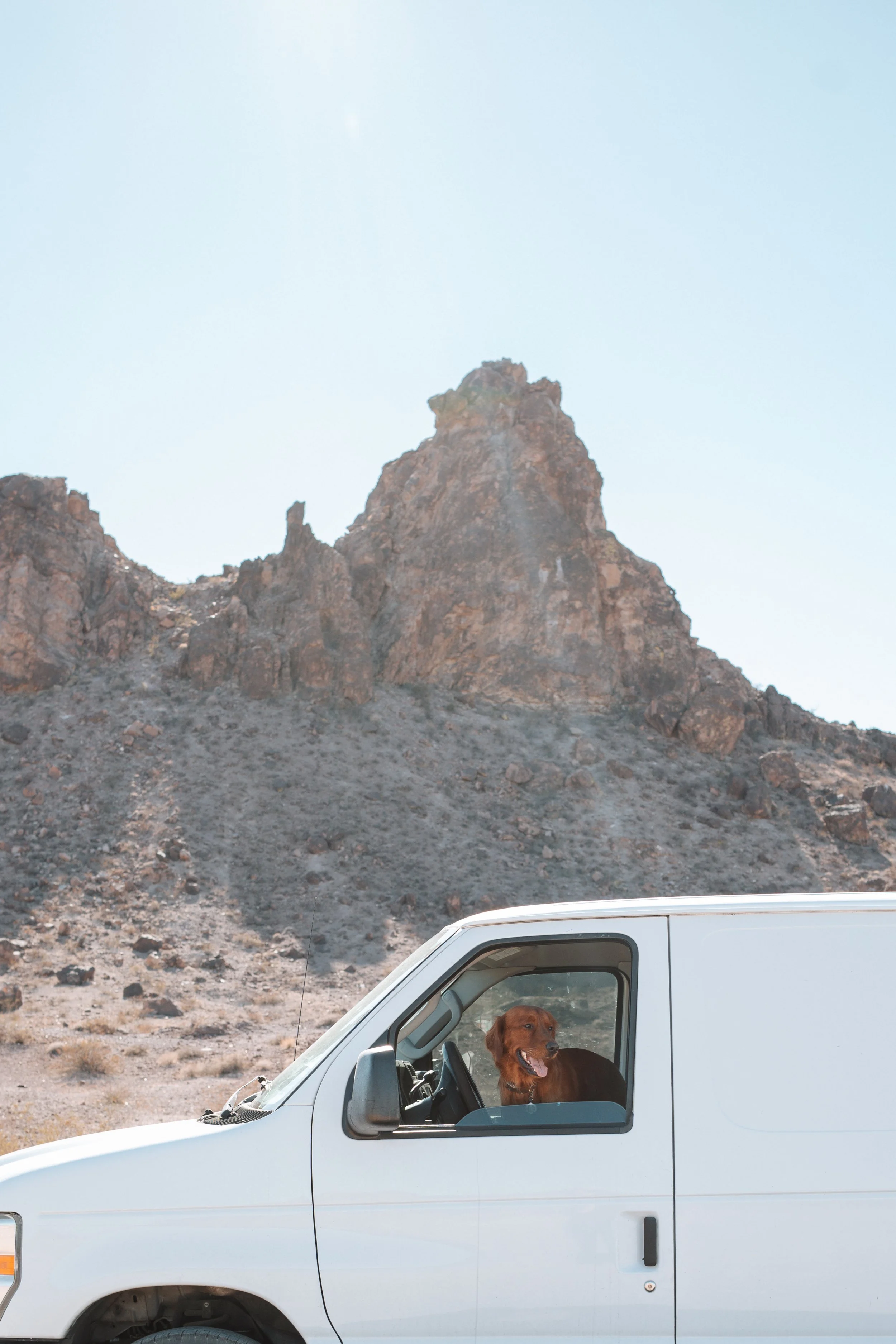 A7404382.jpg