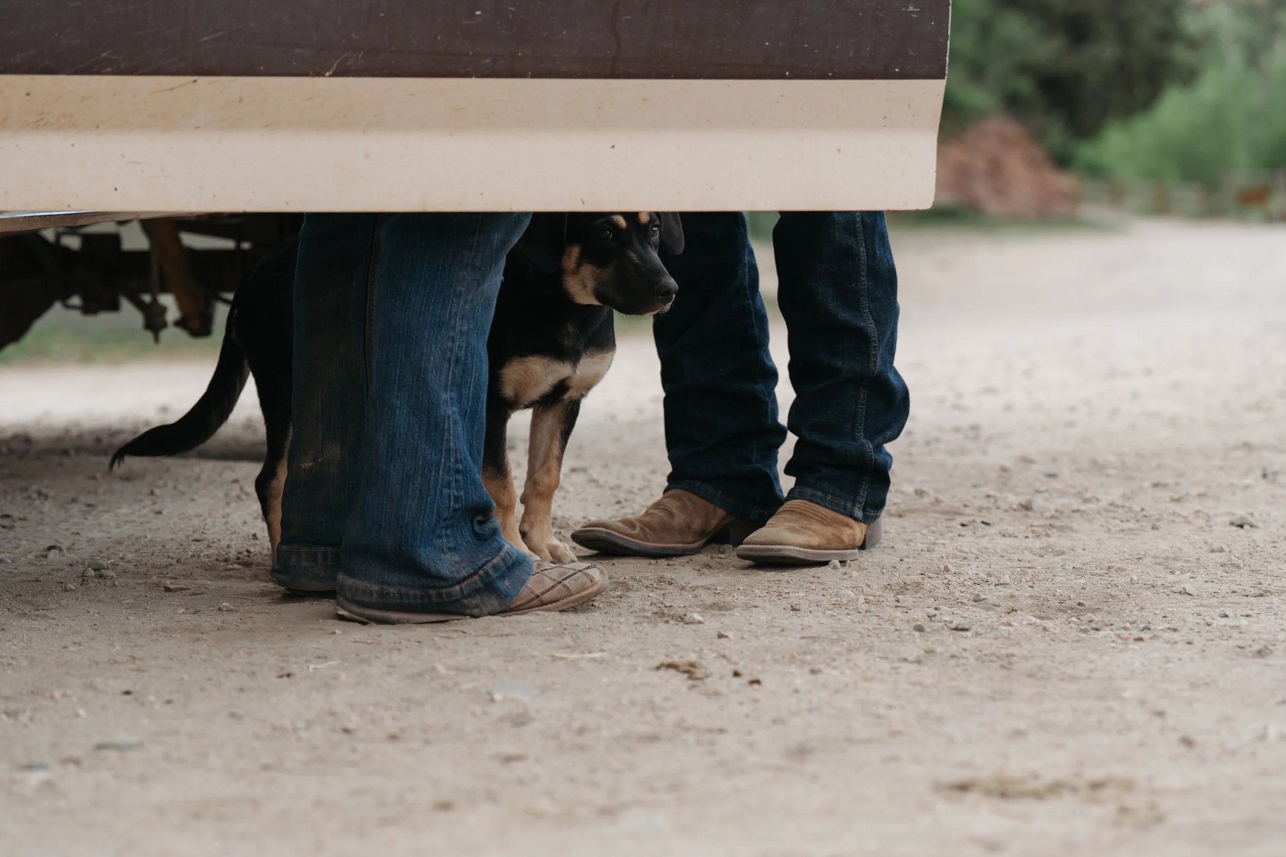 A black and tan puppy hiding under a table between two people wearing jeans and boots outdoors.