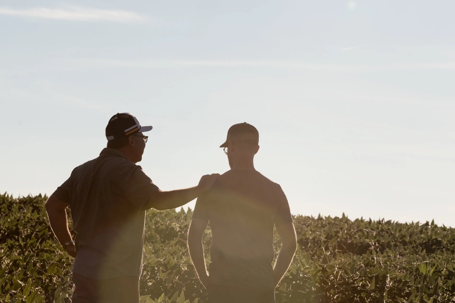 Two North Dundas farmers talking in a field of crops during sunset, one with his hand on the other's shoulder.