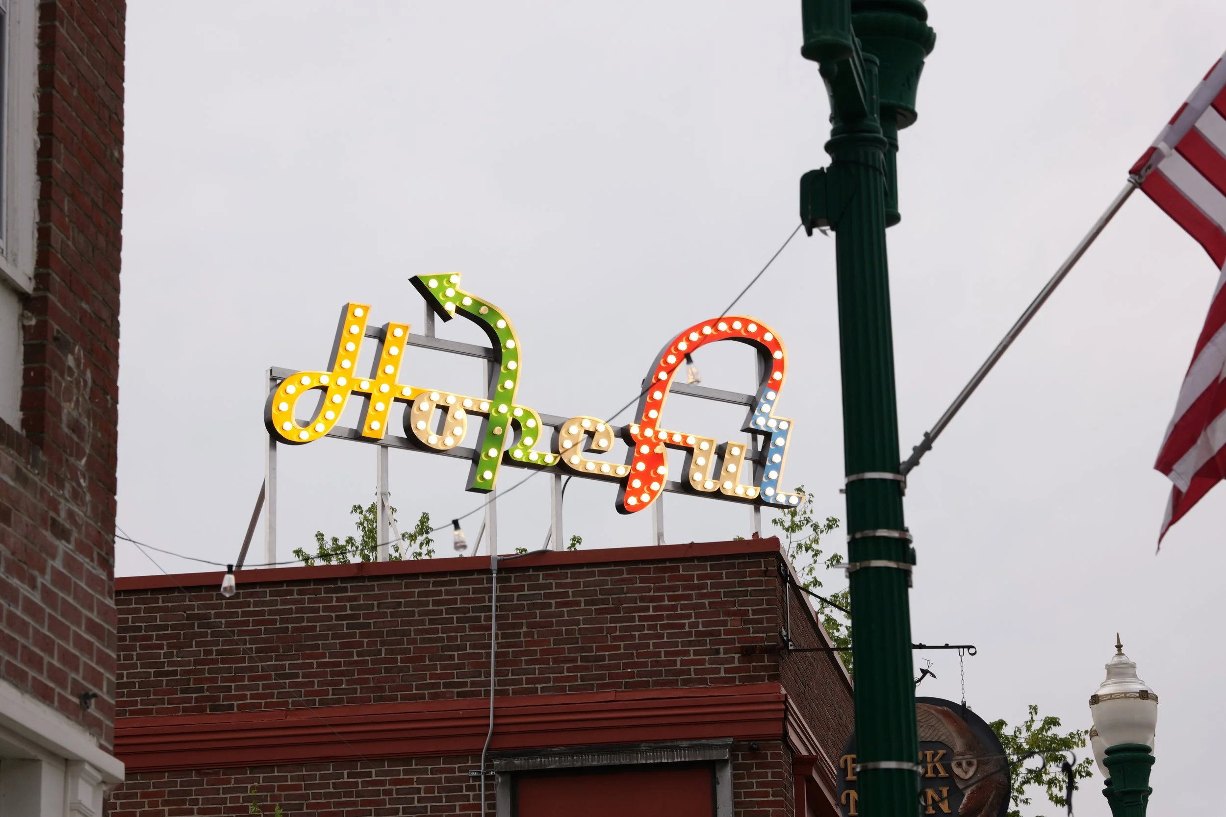 Neon sign spelling out "deli" in colorful lights on top of a brick building, with a green lamppost and American flag nearby, against an overcast sky.